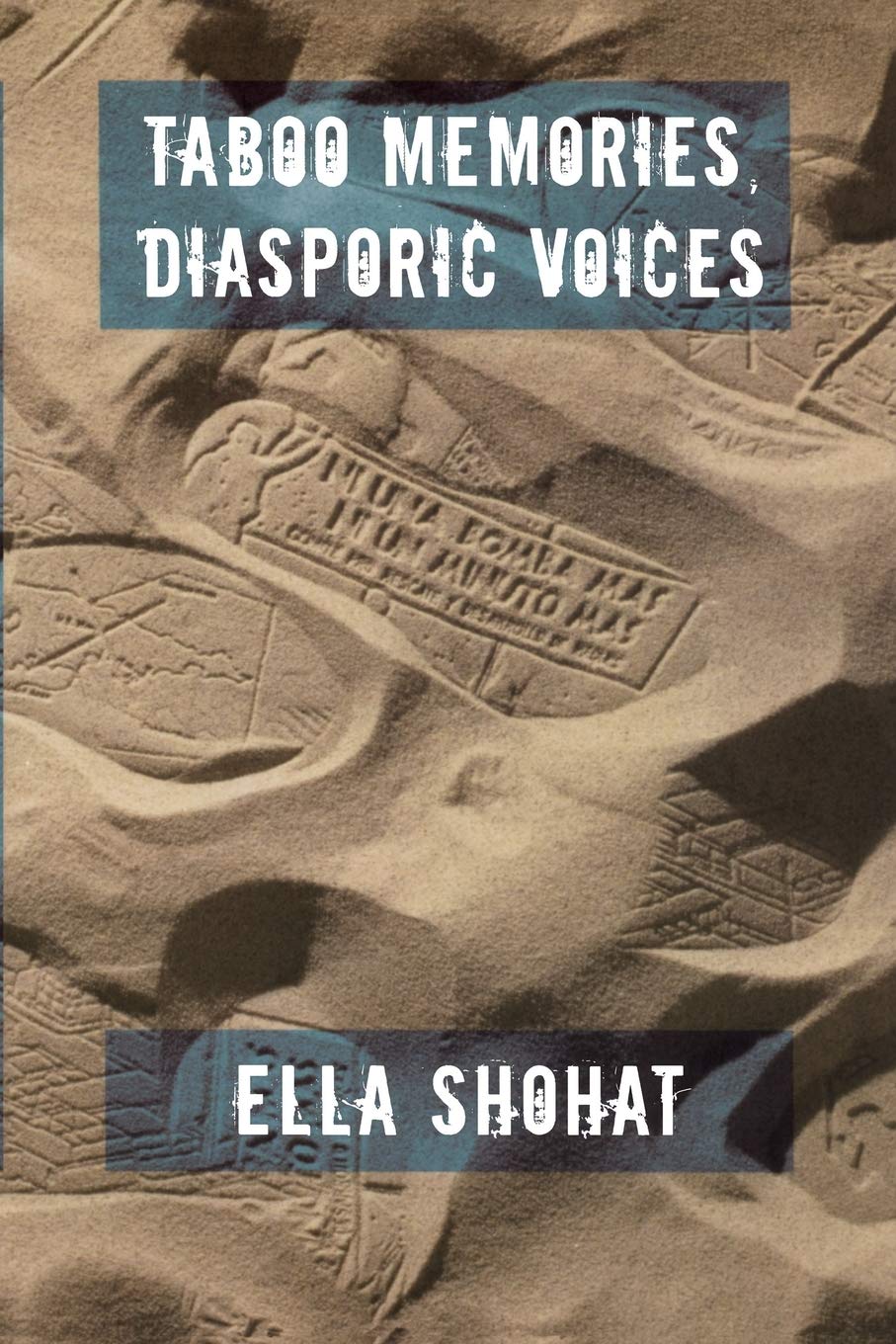 Taboo Memories, Diasporic Voices (Next Wave) Books