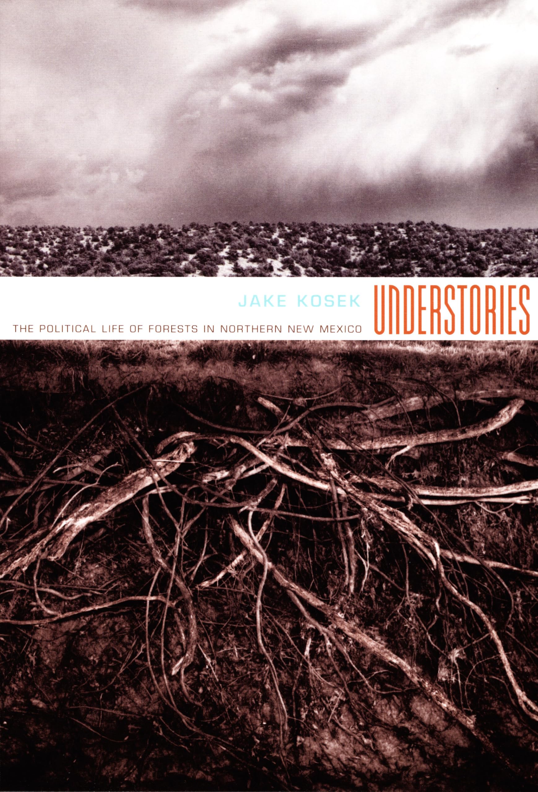 Understories: The Political Life of Forests in Northern New Mexico (John Hope Franklin Center Book) Social Sciences