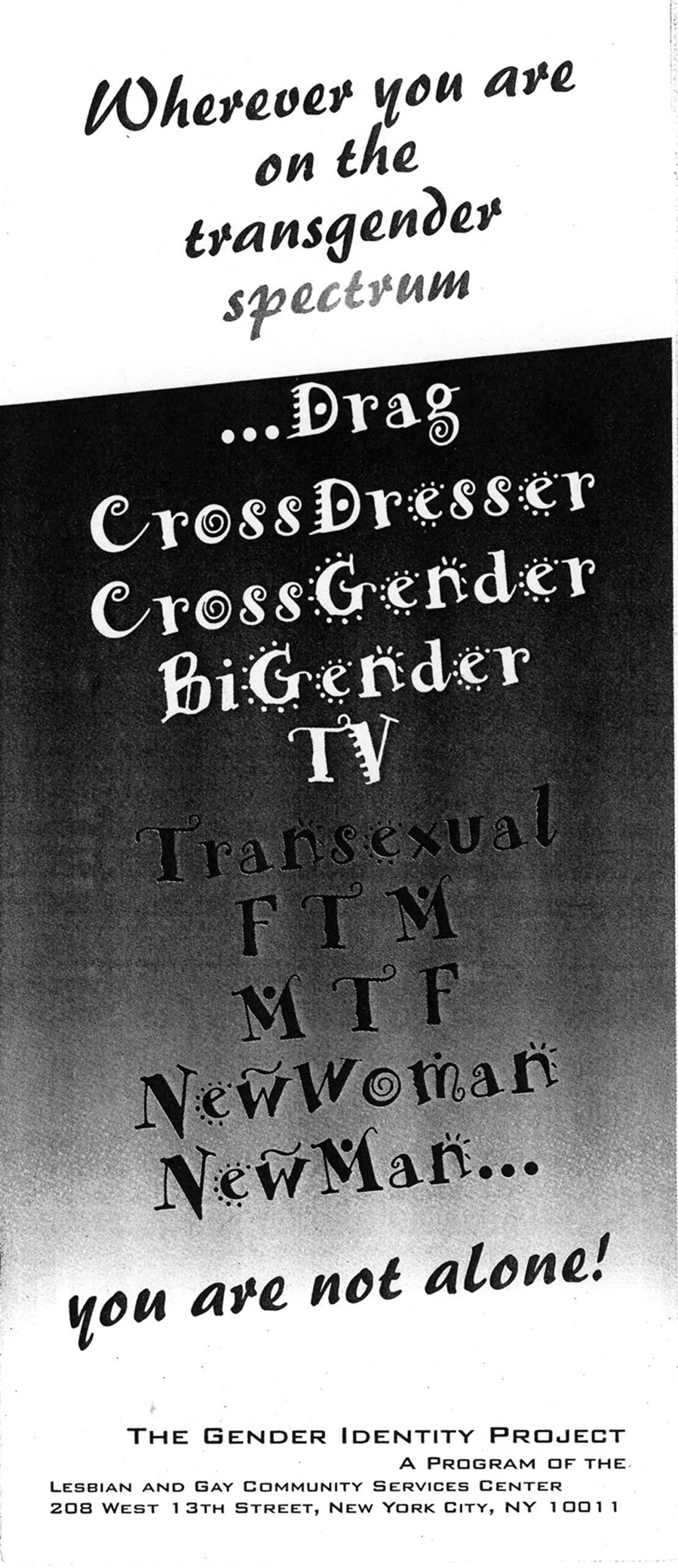 Imagining Transgender: An Ethnography of a Category Books
