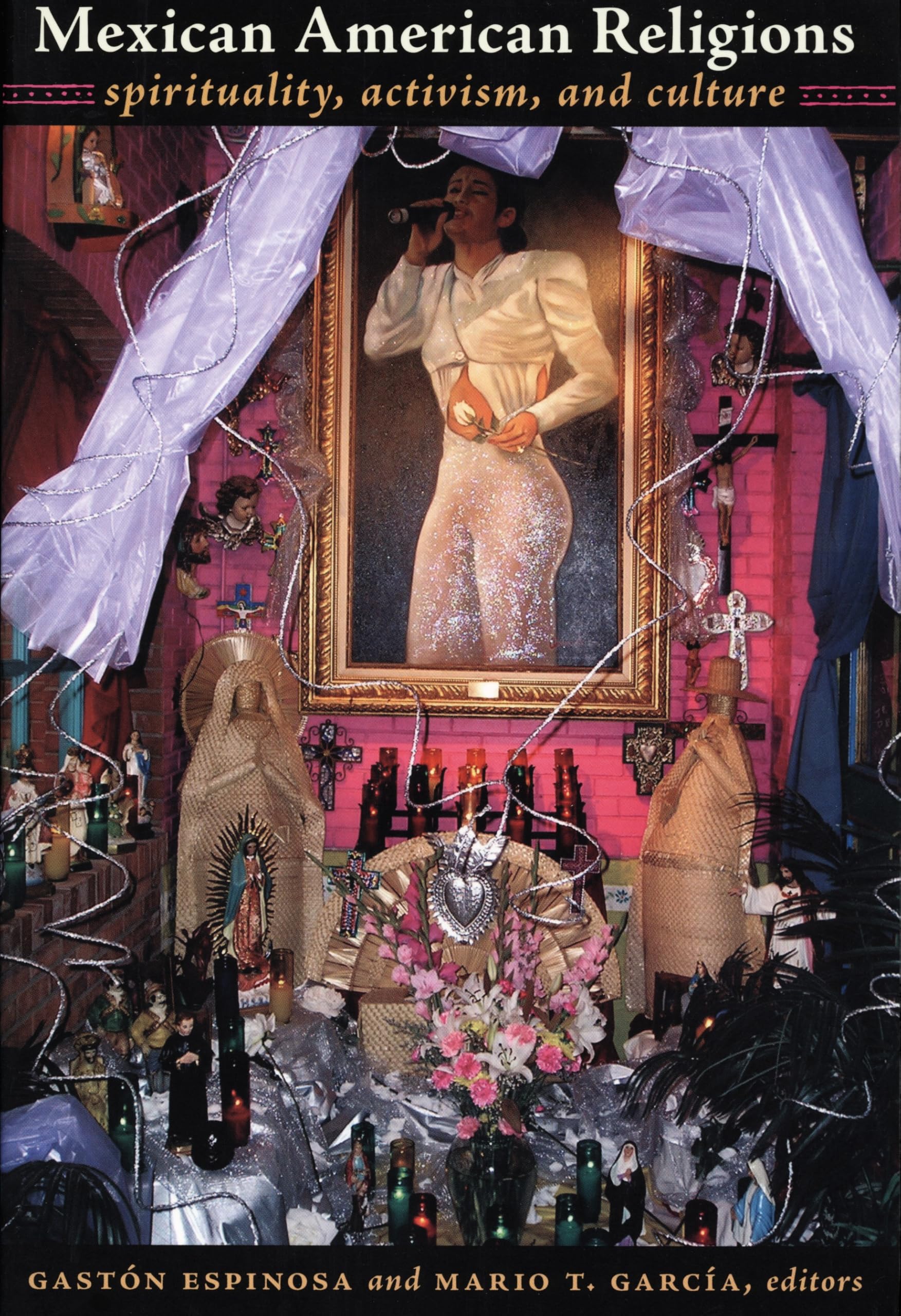 Mexican American Religions: Spirituality, Activism, and Culture Social Sciences