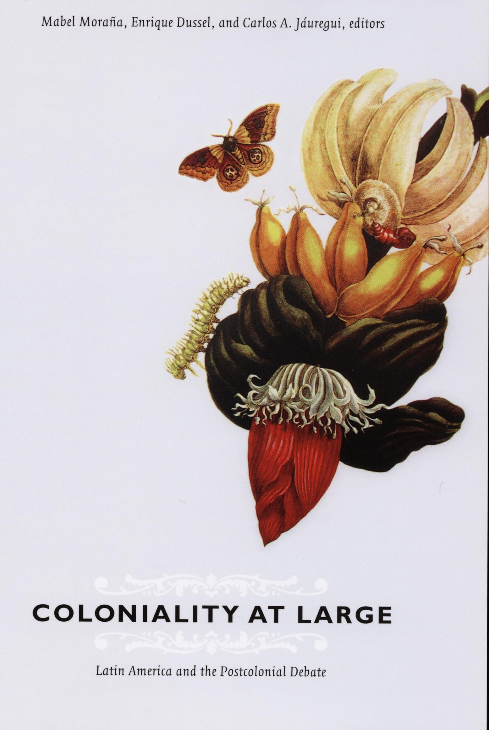 Coloniality at Large: Latin America and the Postcolonial Debate (Latin America Otherwise) Social Sciences