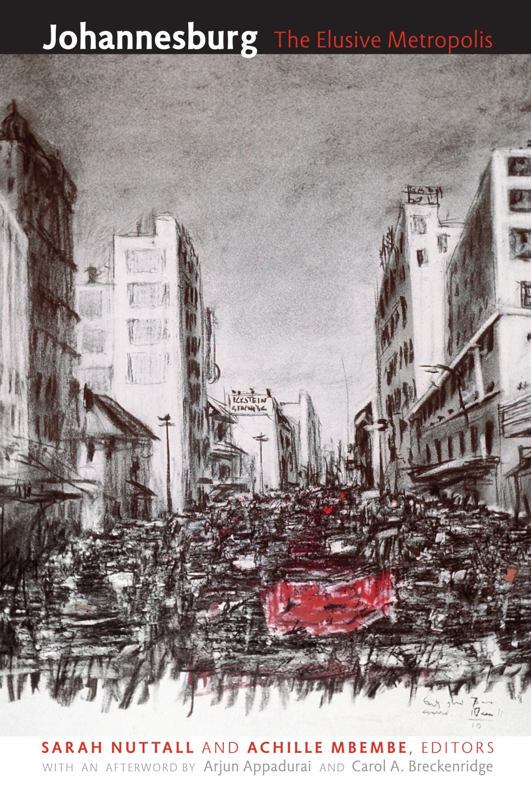 Johannesburg: The Elusive Metropolis (A Public Culture Book) Social Sciences