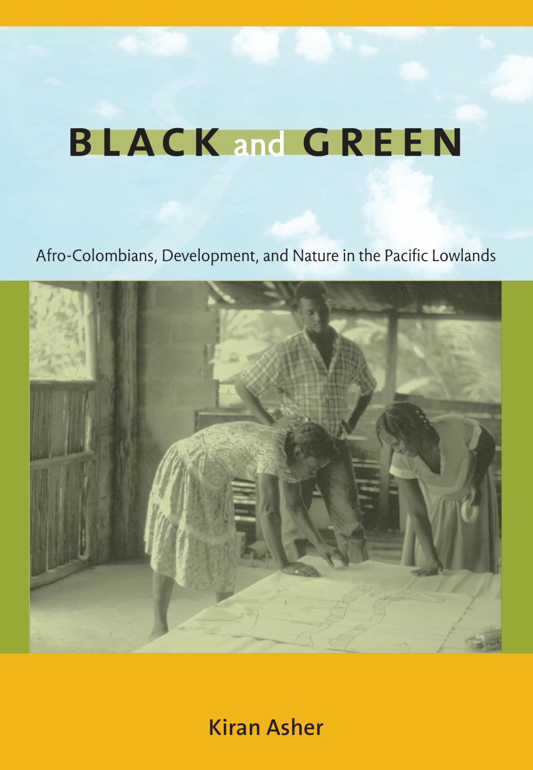 Black and Green: Afro-Colombians, Development, and Nature in the Pacific Lowlands Books