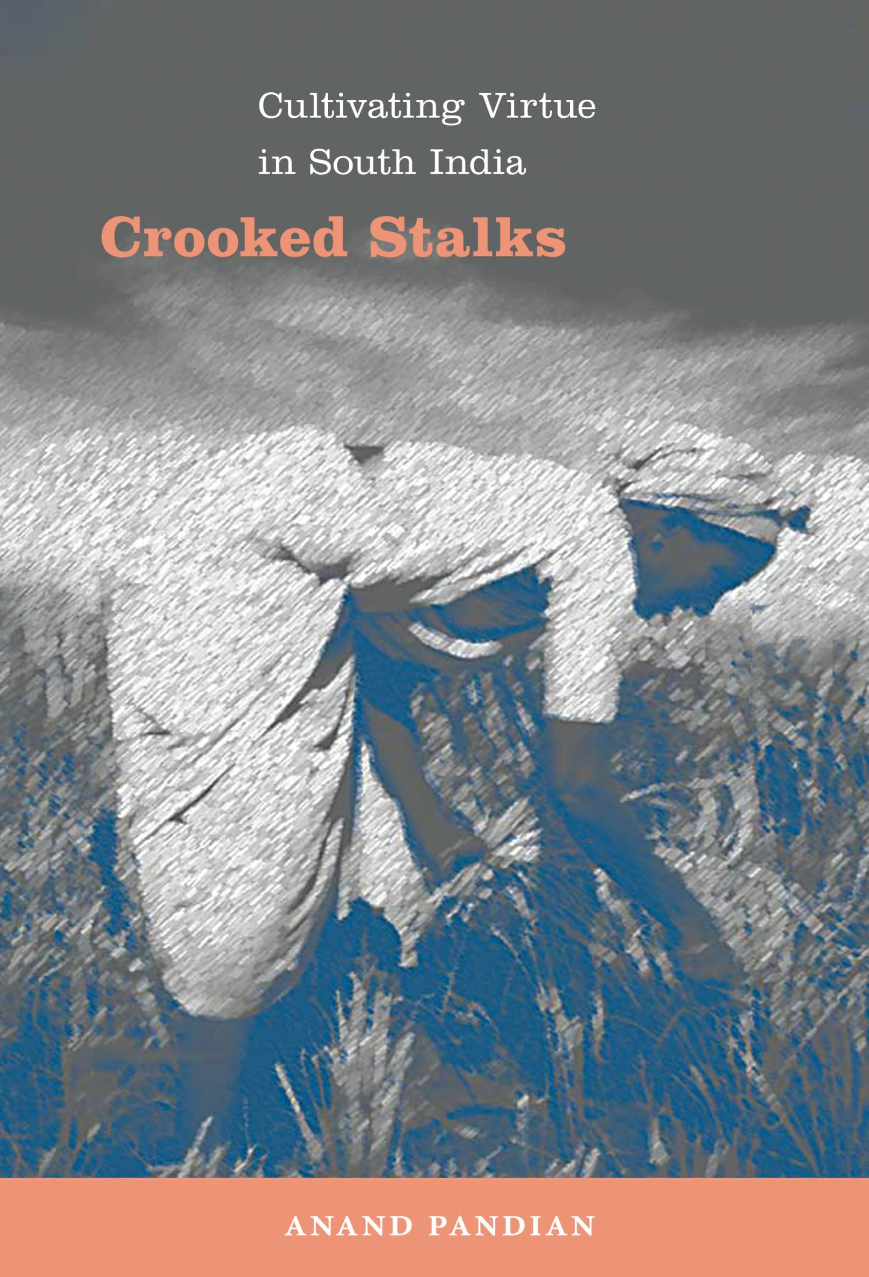 Crooked Stalks: Cultivating Virtue in South India (Refiguring American Music) General education