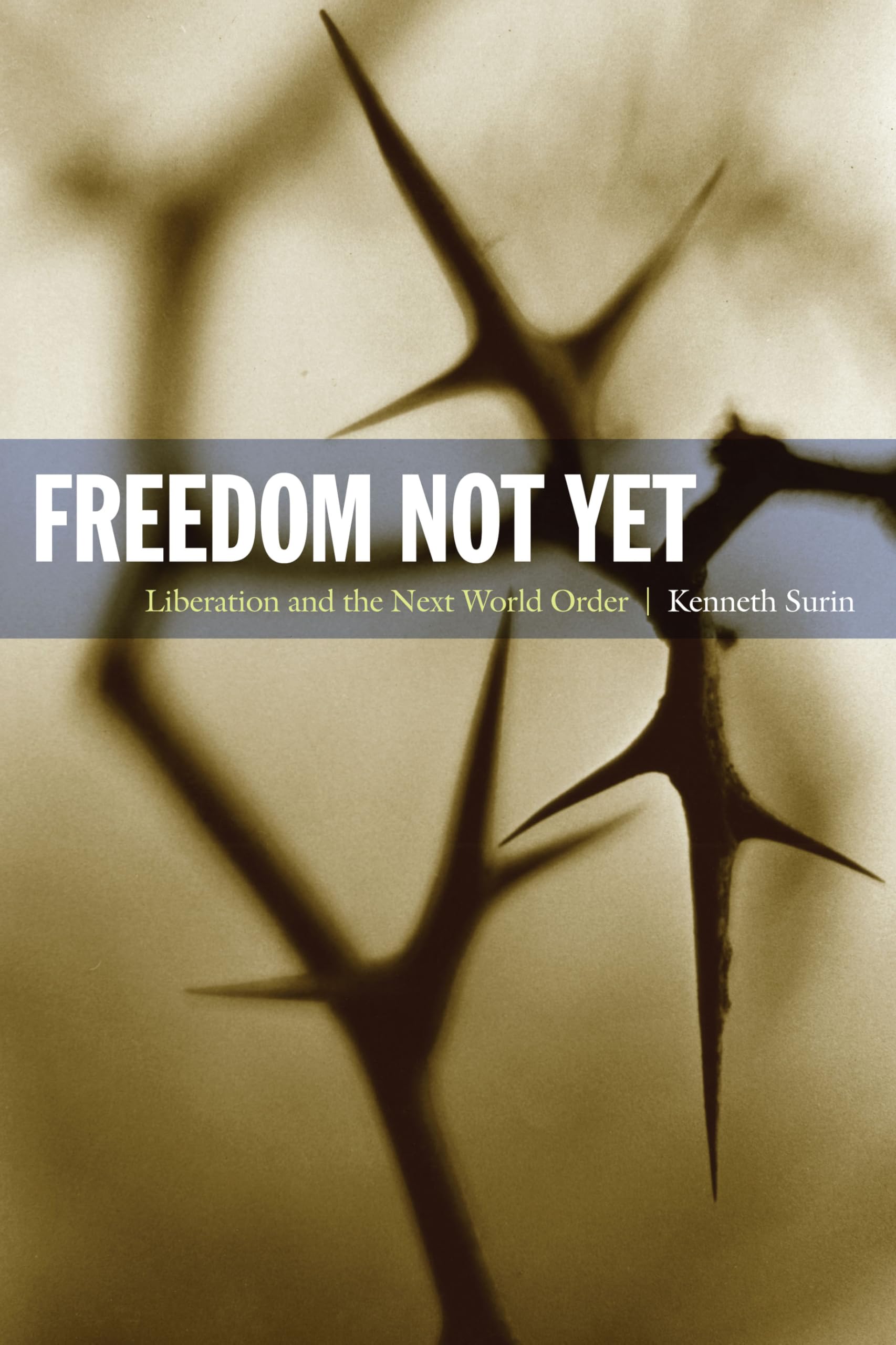 Freedom Not Yet: Liberation and the Next World Order (Politics, History, and Culture) Philosophy