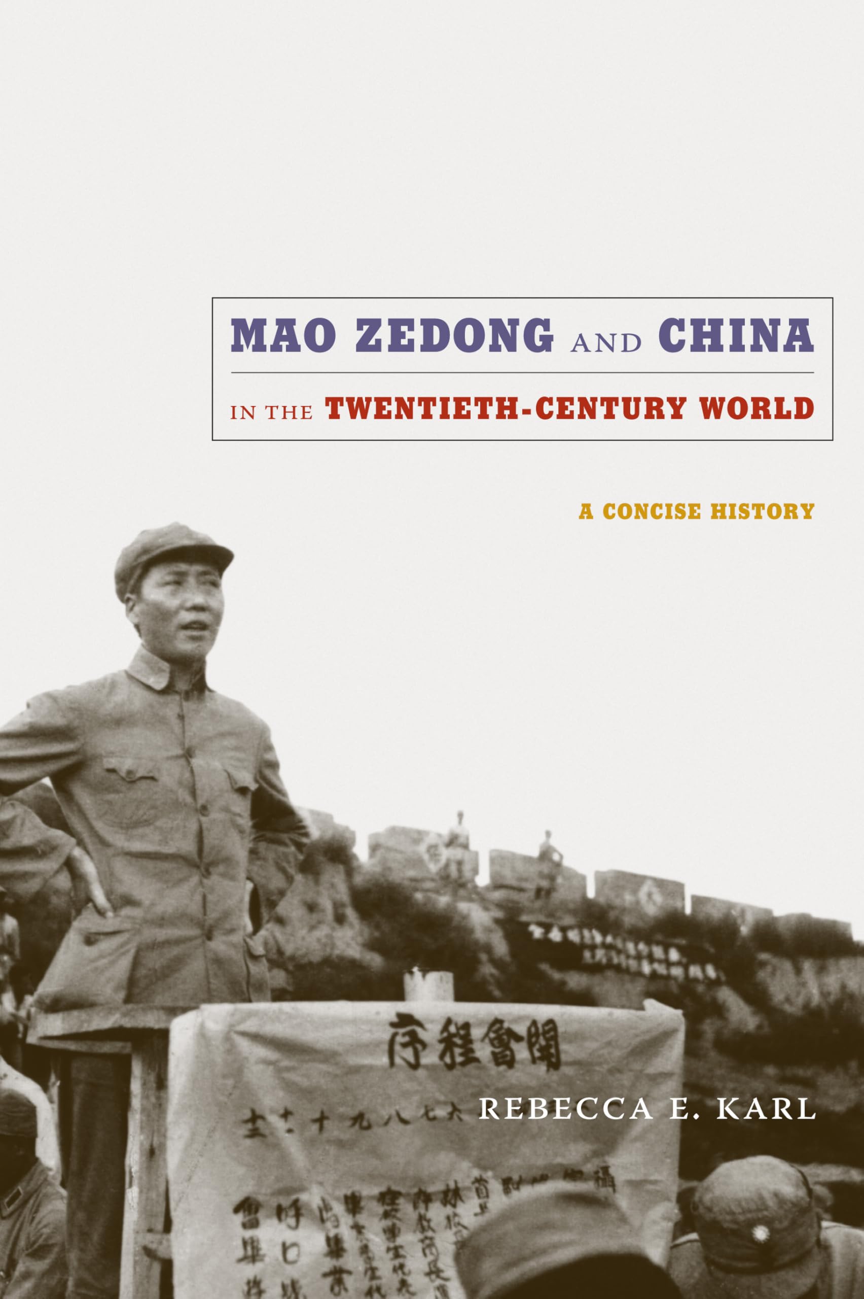 Mao Zedong and China in the Twentieth-Century World: A Concise History (Asia-pacific: Culture, Politics, and Society) Politics & Society Books