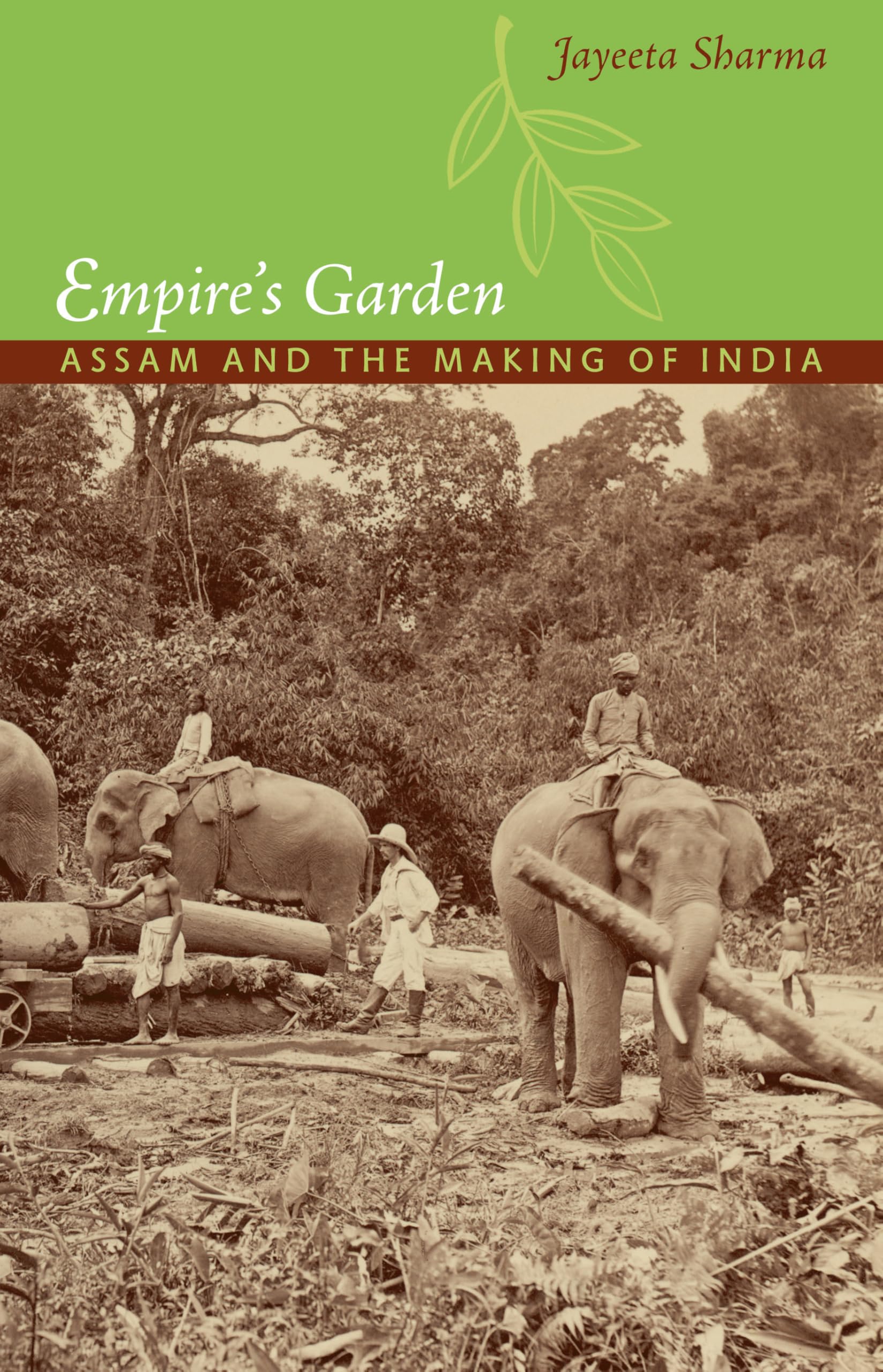 Empire’s Garden: Assam and the Making of India (Radical Perspectives) Books