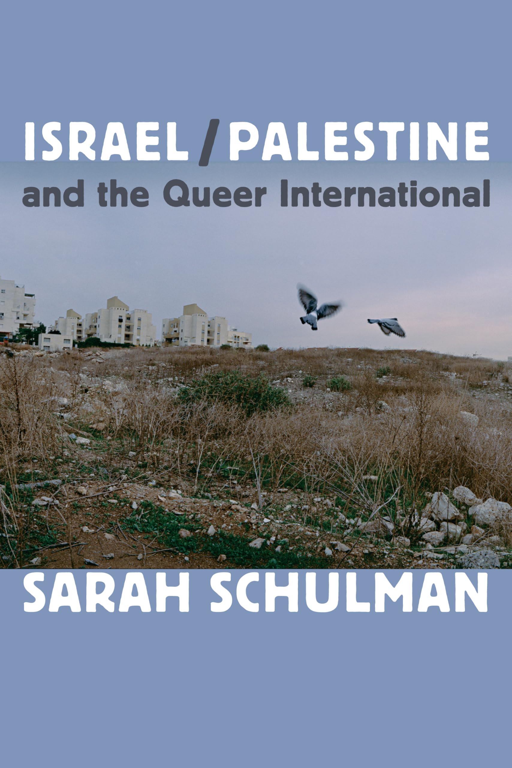 Israel/Palestine and the Queer International Religion & Esotericism