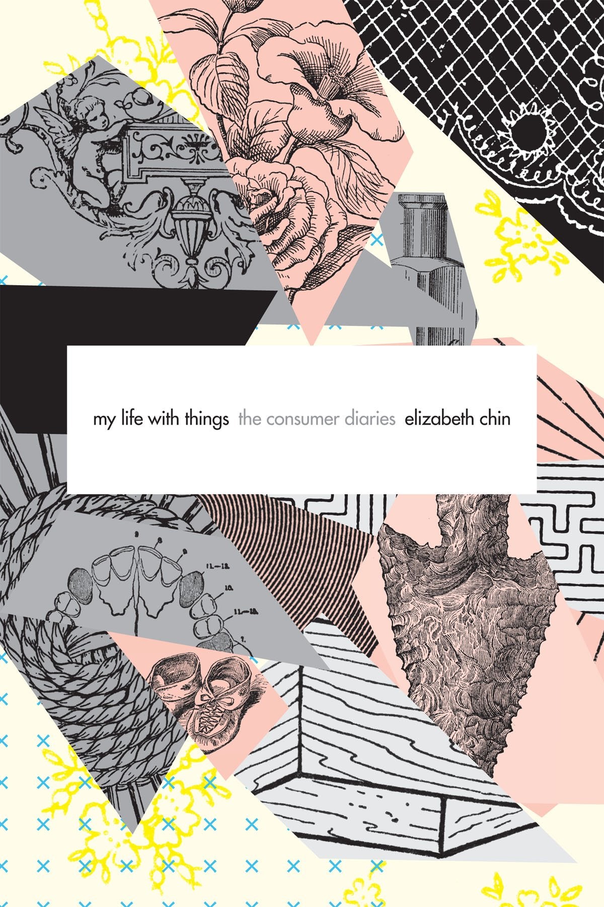 My Life With Things: The Consumer Diaries General education