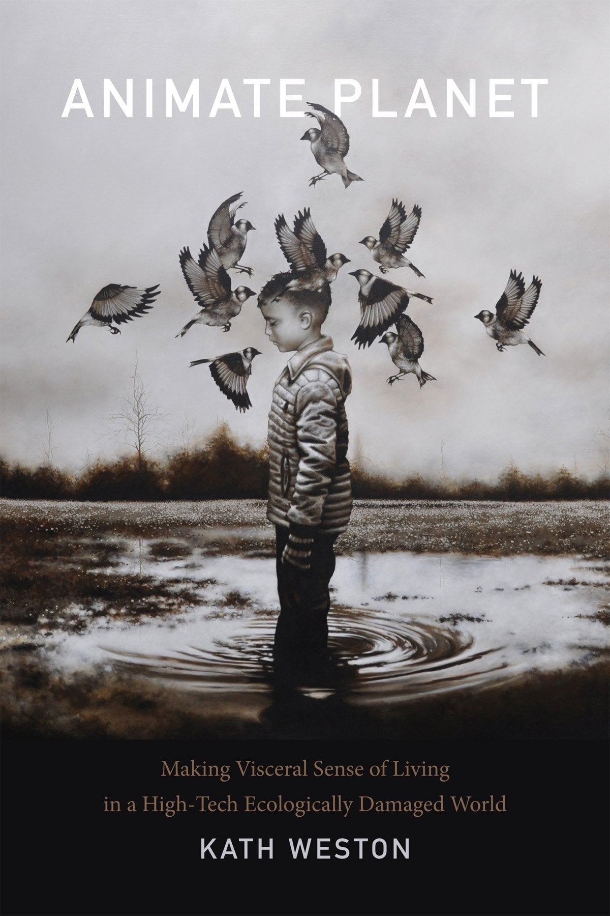 Animate Planet: Making Visceral Sense of Living in a High-Tech Ecologically Damaged World Law