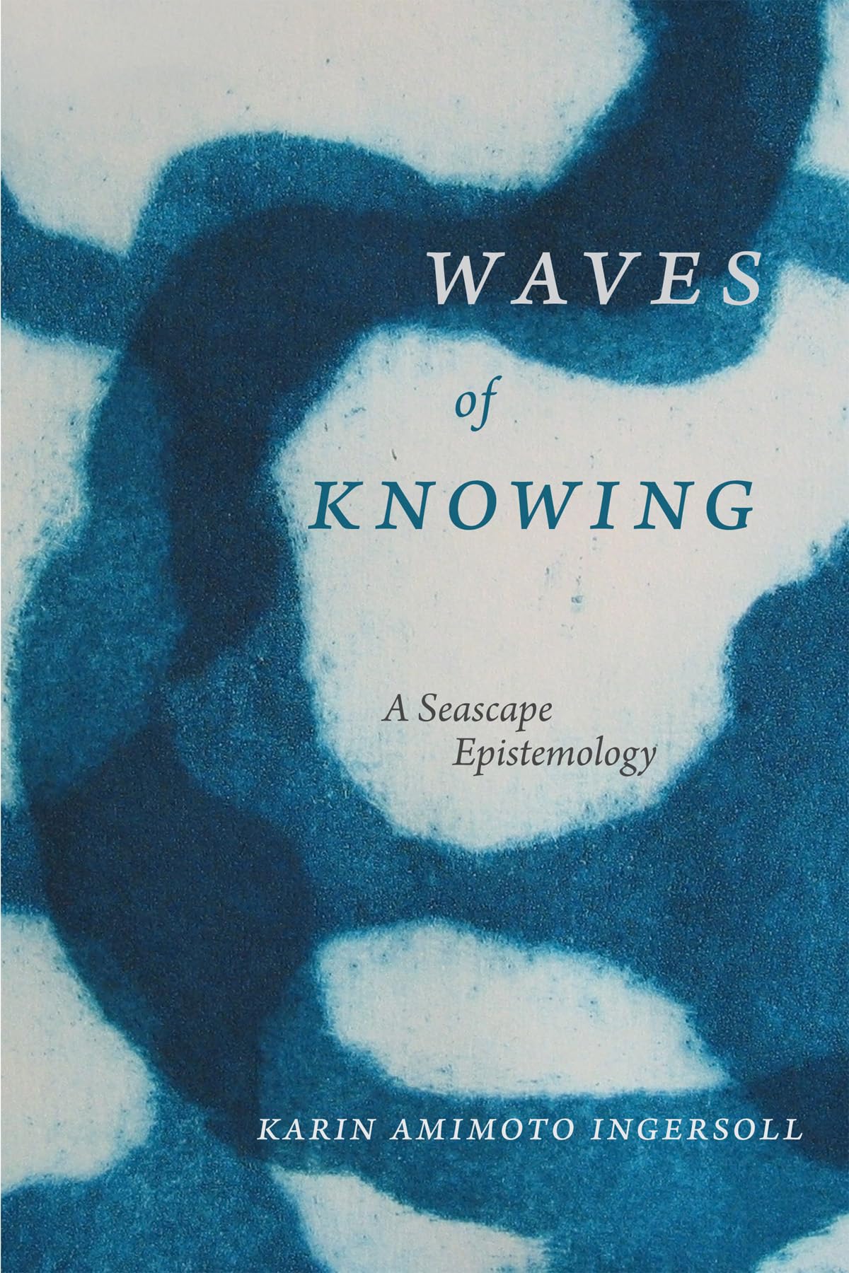 Waves of Knowing: A Seascape Epistemology Law