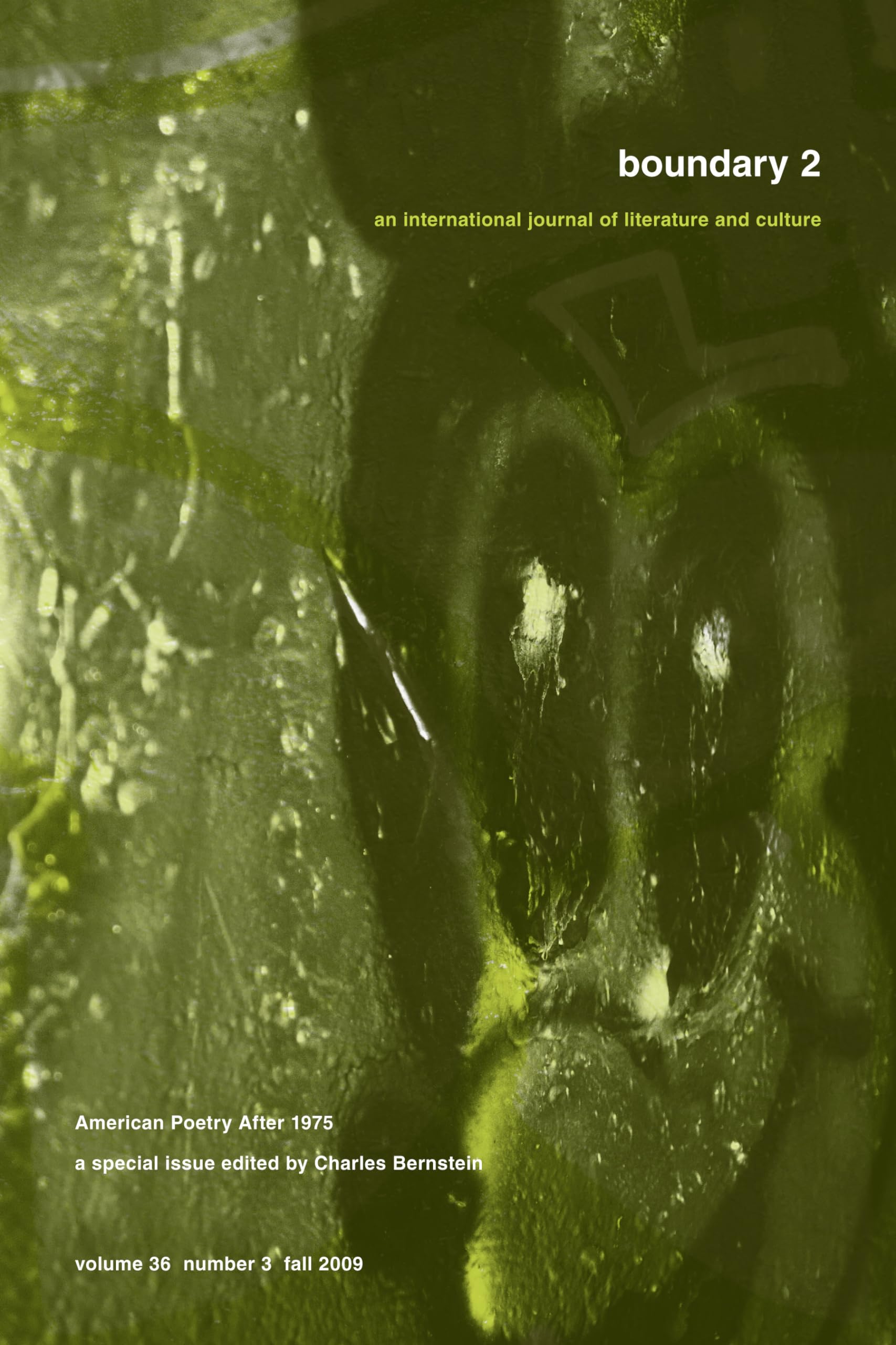 American Poetry after 1975 (Boundary 2: an International Journal of Literature and Culture, 36-3, Band 2) Social Sciences
