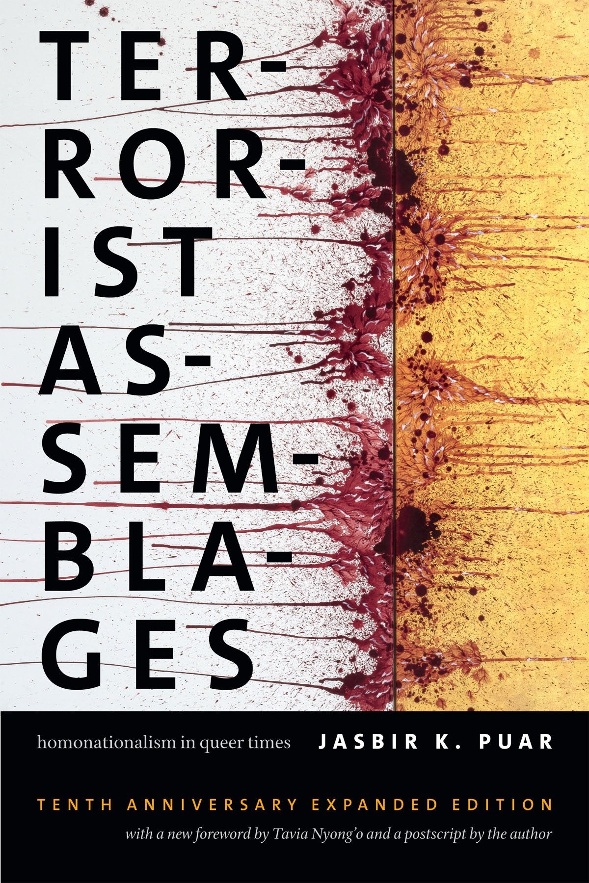 Terrorist Assemblages: Homonationalism in Queer Times (Next Wave: New Directions in Women's Studies) Law