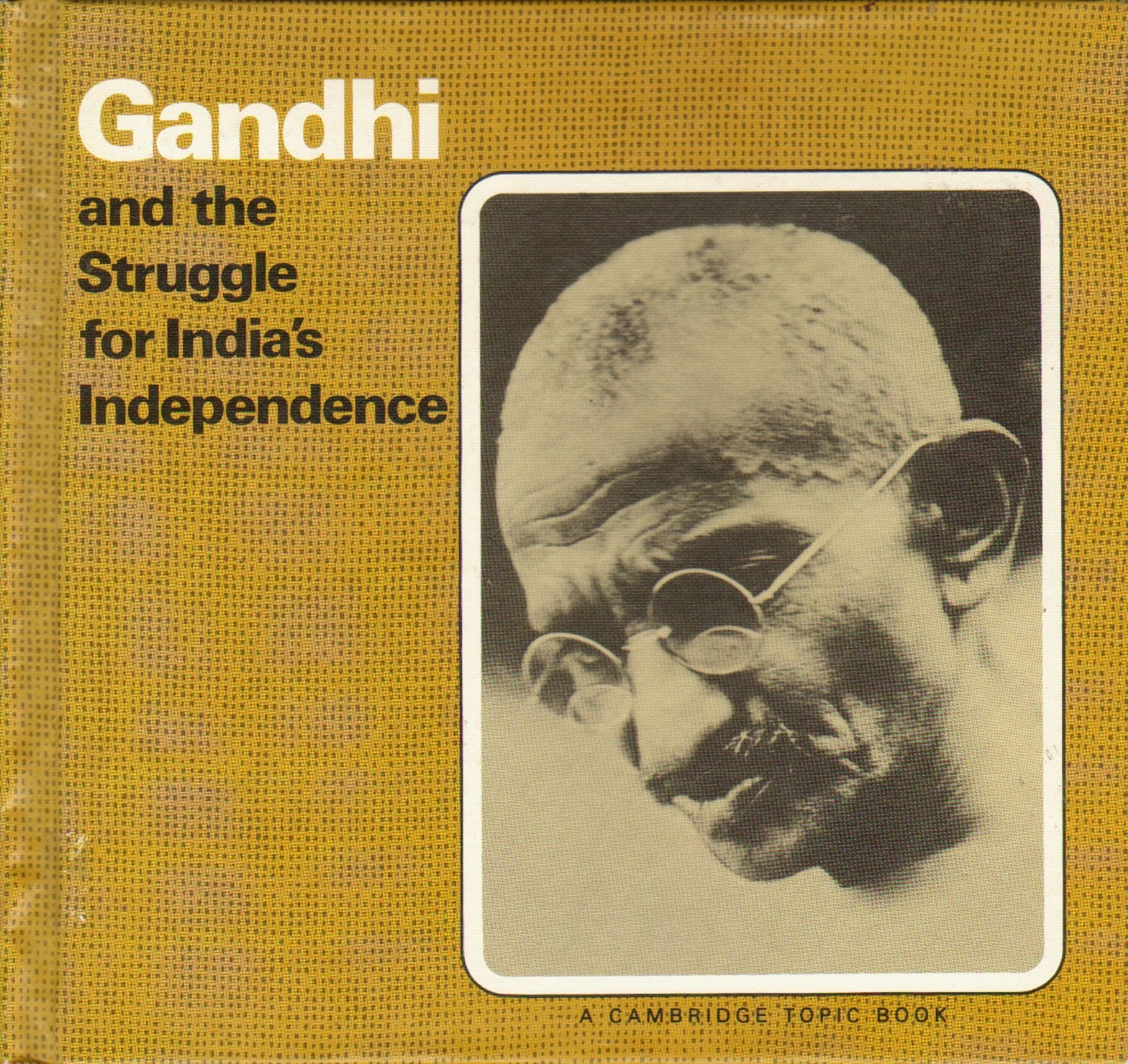 Gandhi and the Struggle for India's Independence (Cambridge Topic Book) Memories