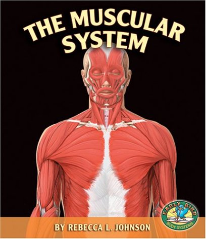 The Muscular System (Early Bird Body Systems) Non-fiction