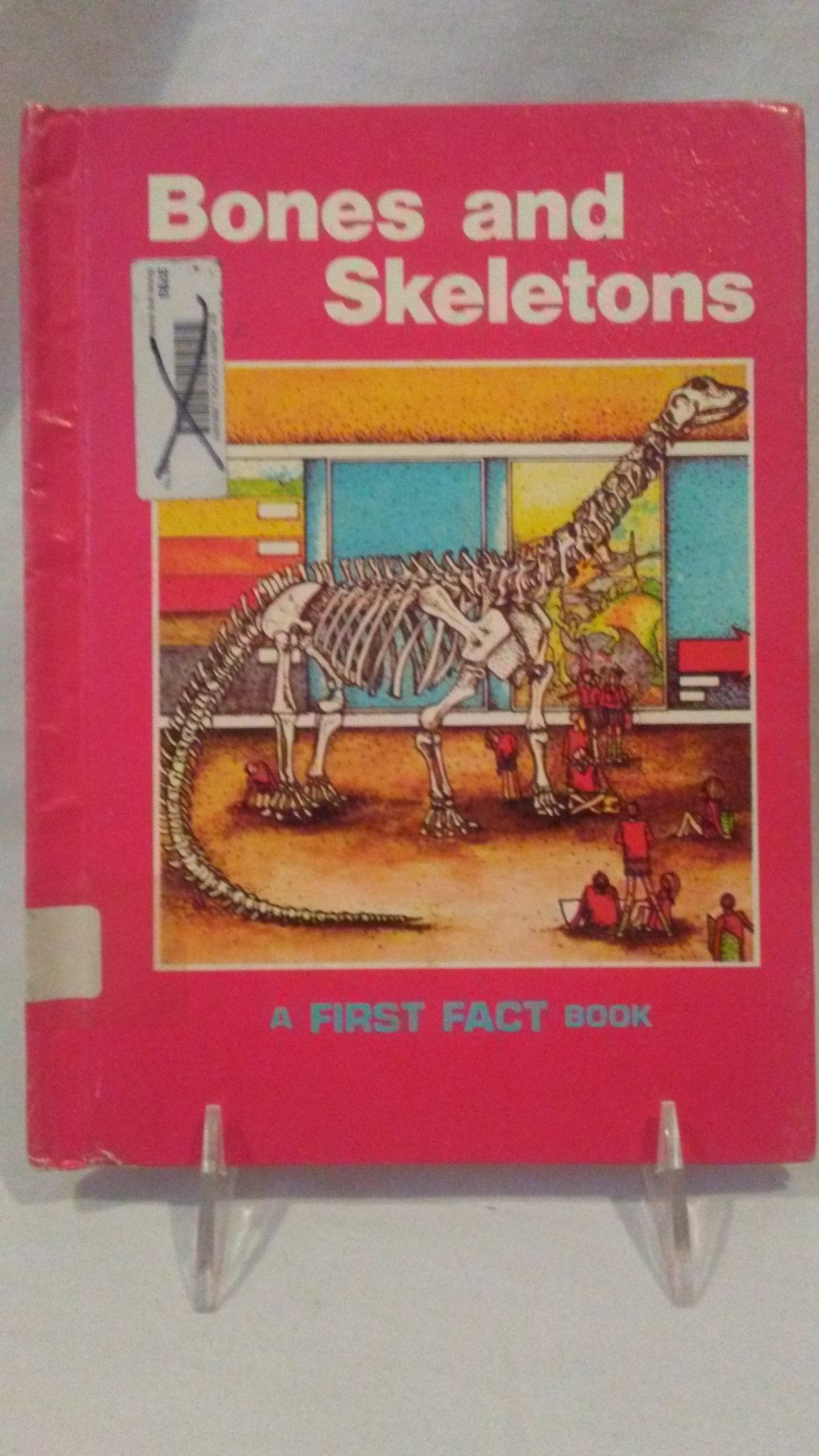 Product Image: Bones and Skeletons (First Fact Book)
