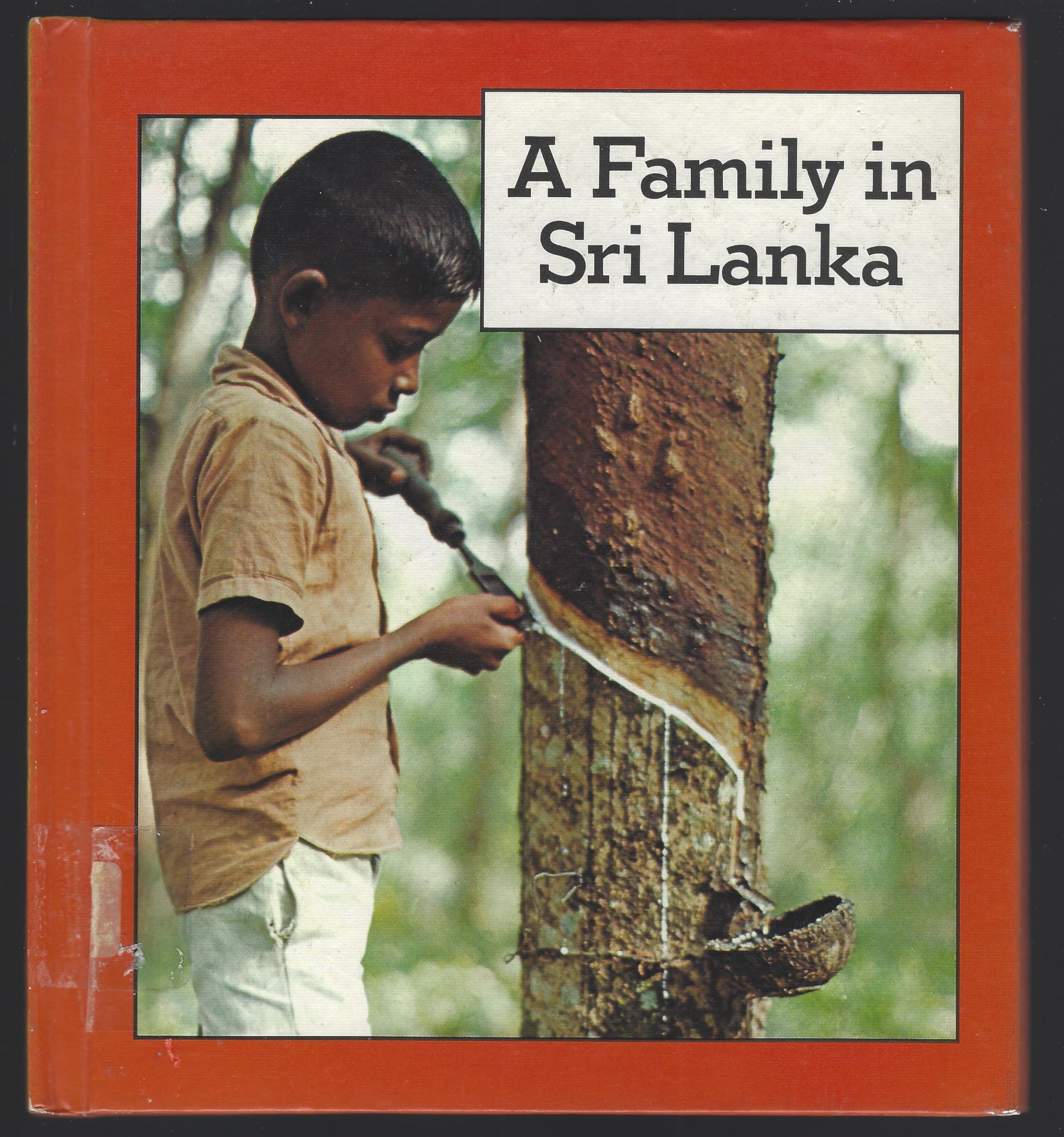 A Family in Sri Lanka (Families Around the World) Non-fiction