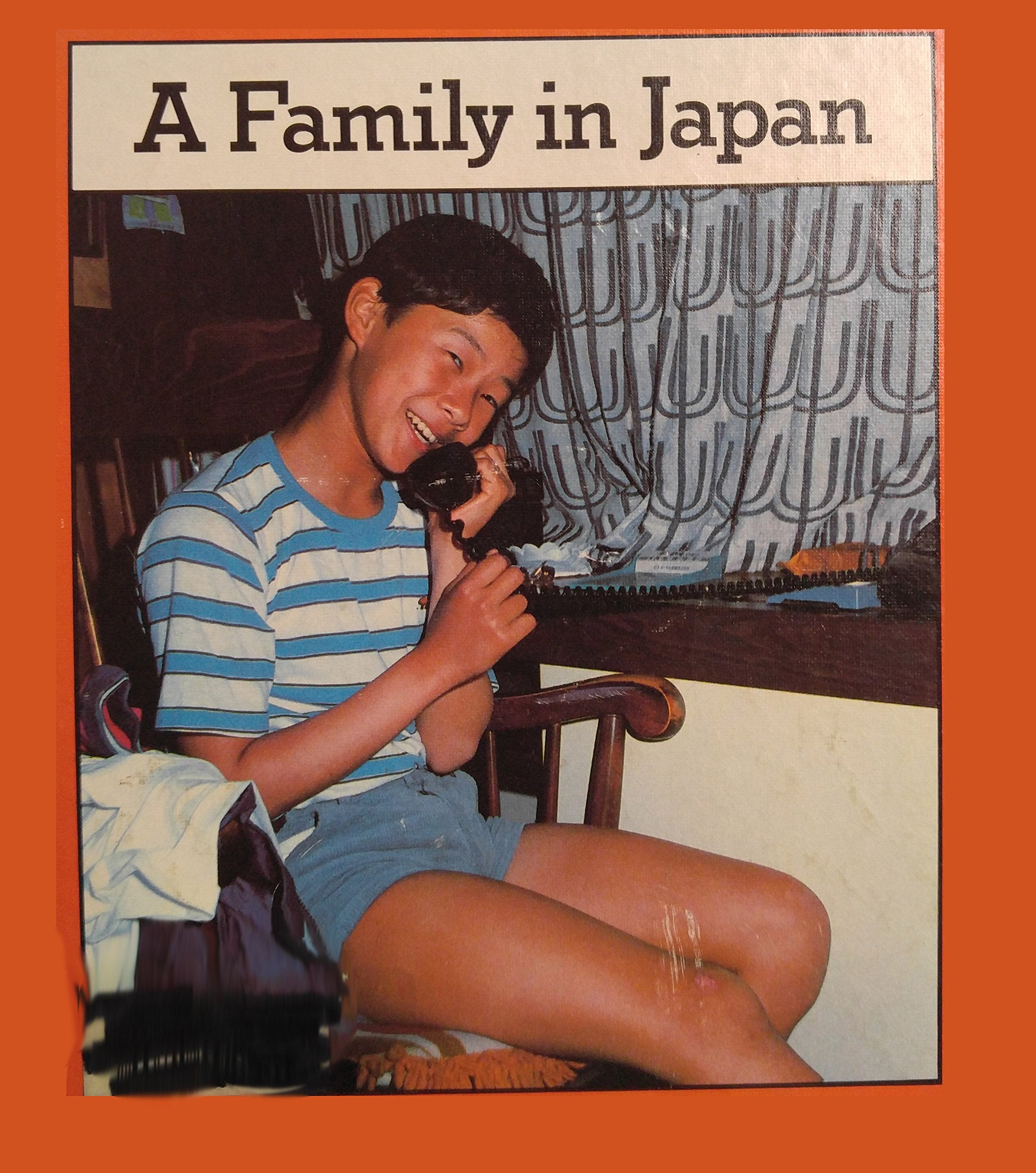 Family in Japan (Families the World over) Books