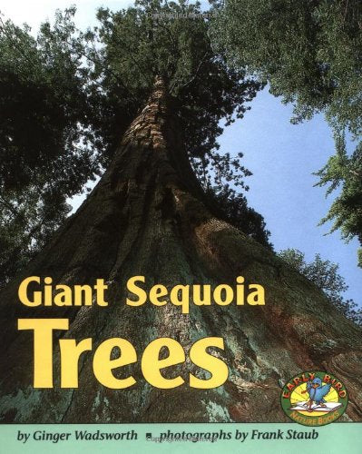 Giant Sequoia Trees (Early Bird Nature Books) Non-fiction