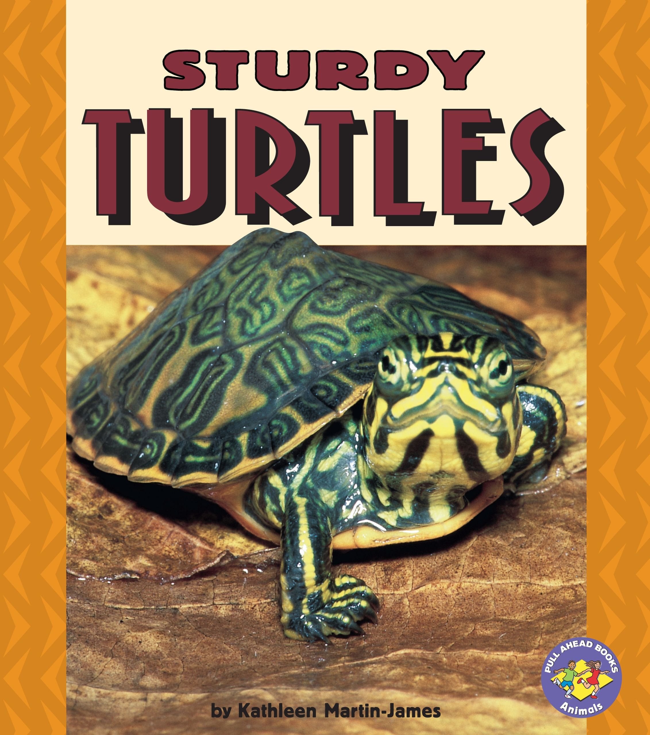 Sturdy Turtles (Pull Ahead Books) Non-fiction