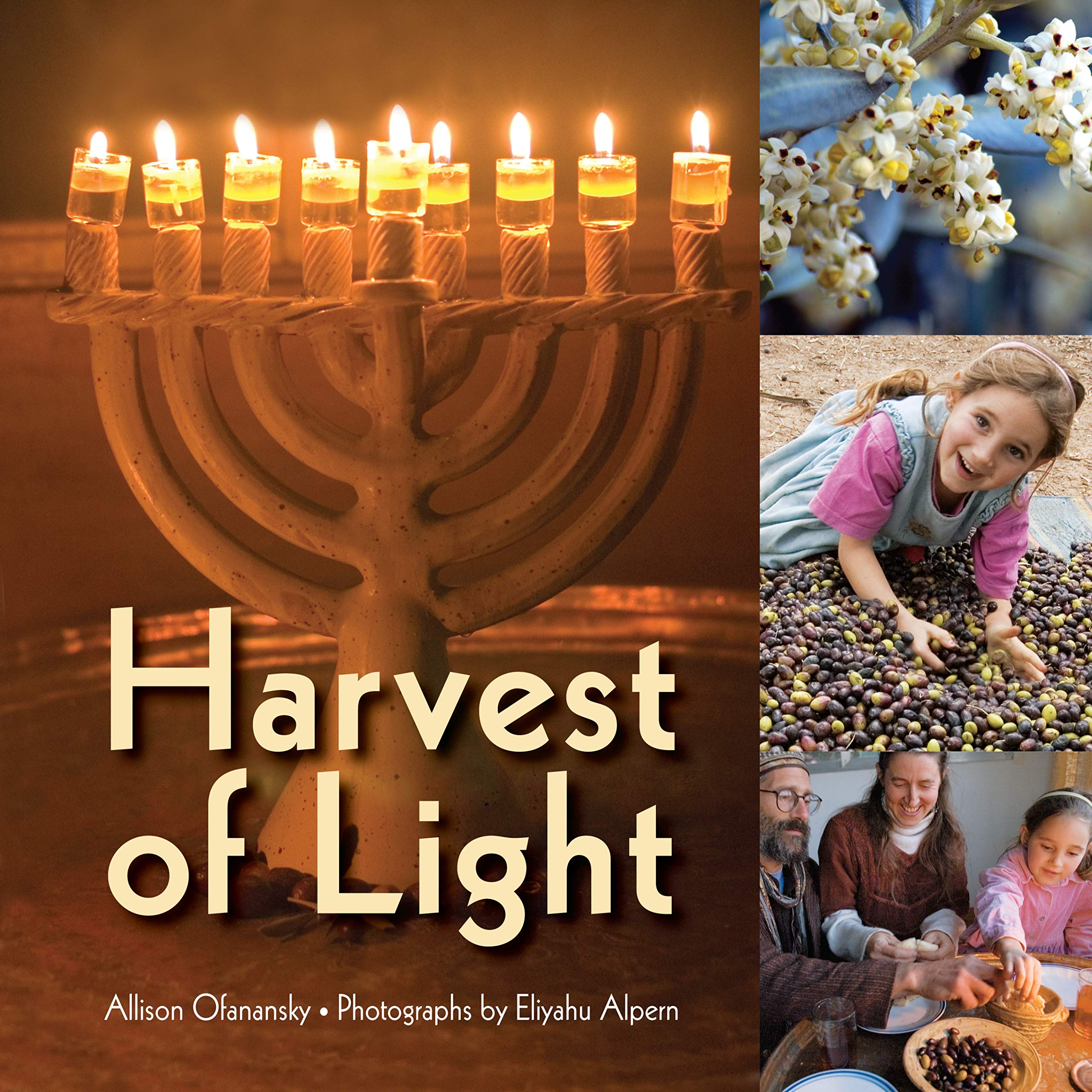 Harvest of Light (Hanukkah) Non-fiction