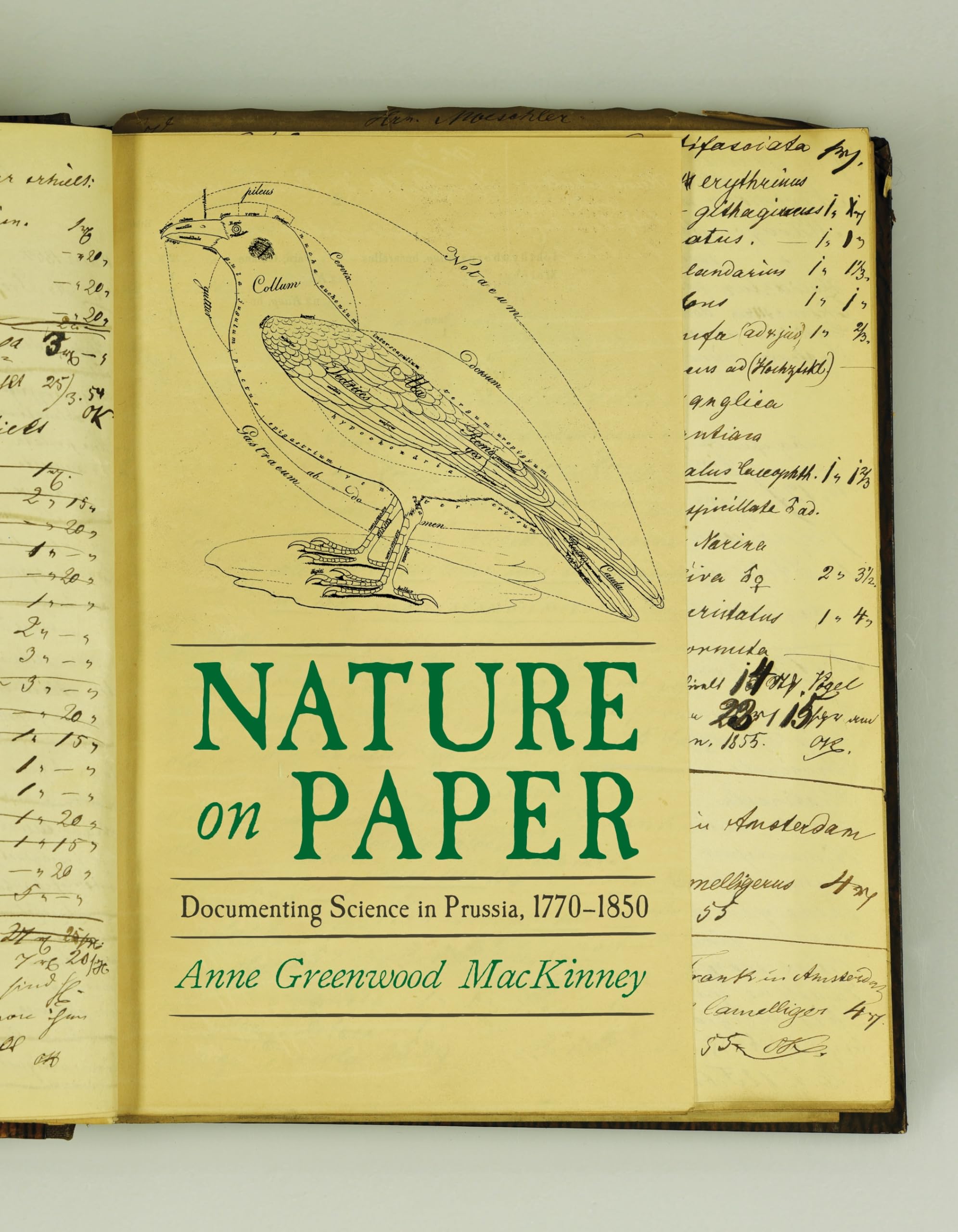 Nature on Paper: Documenting Science in Prussia, 1770-1850 (Sci & Culture in the Nineteenth Century) Mathematics