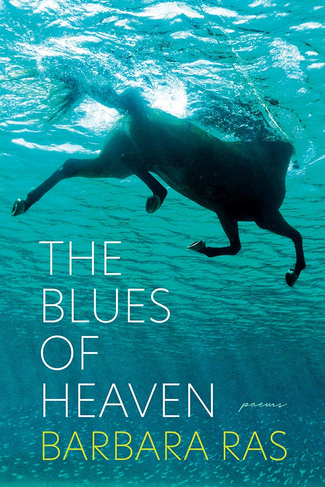 The Blues of Heaven: Poems (Pitt Poetry) Poetry