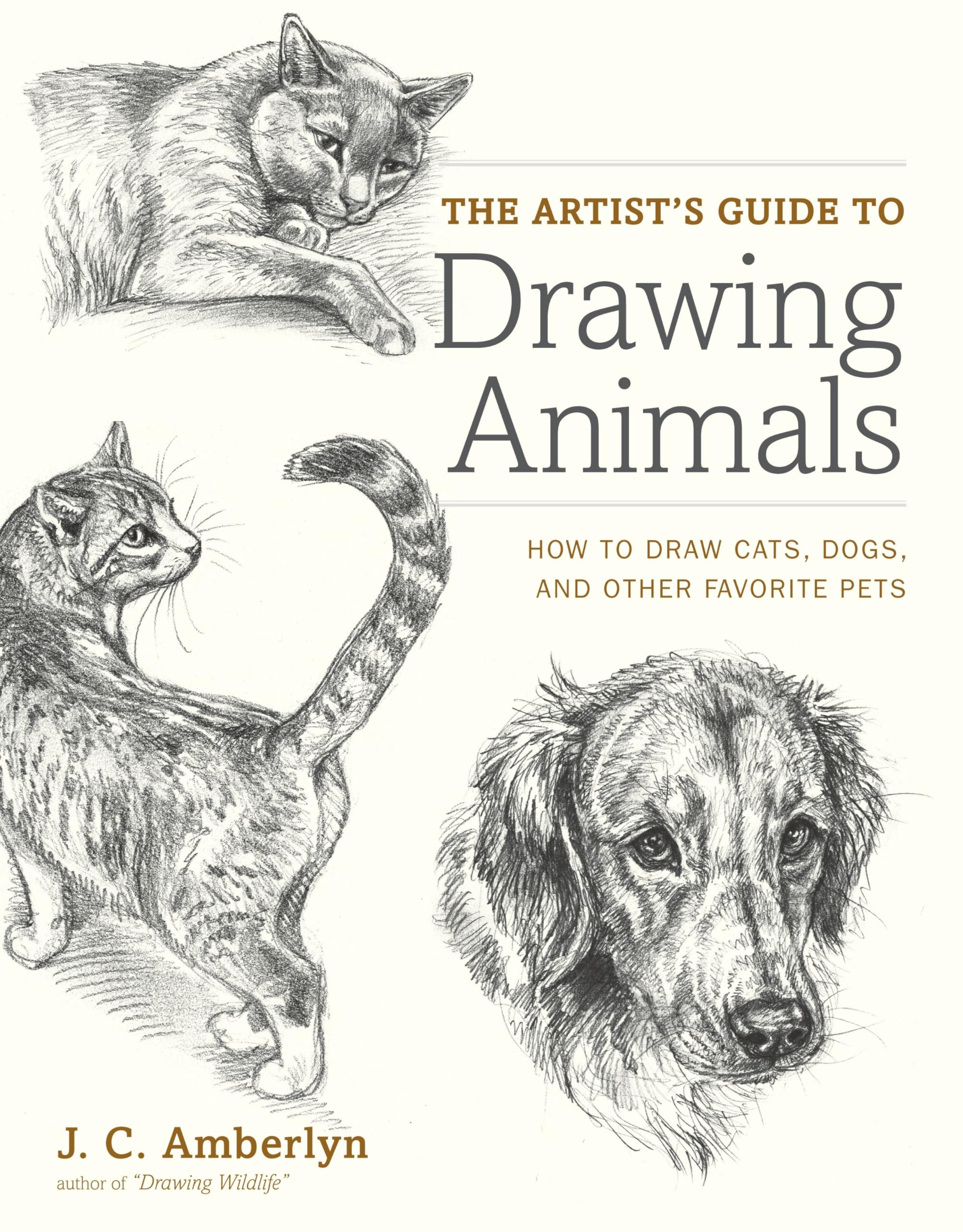 Artist's Guide to Drawing Animals, The Film, Art & Culture