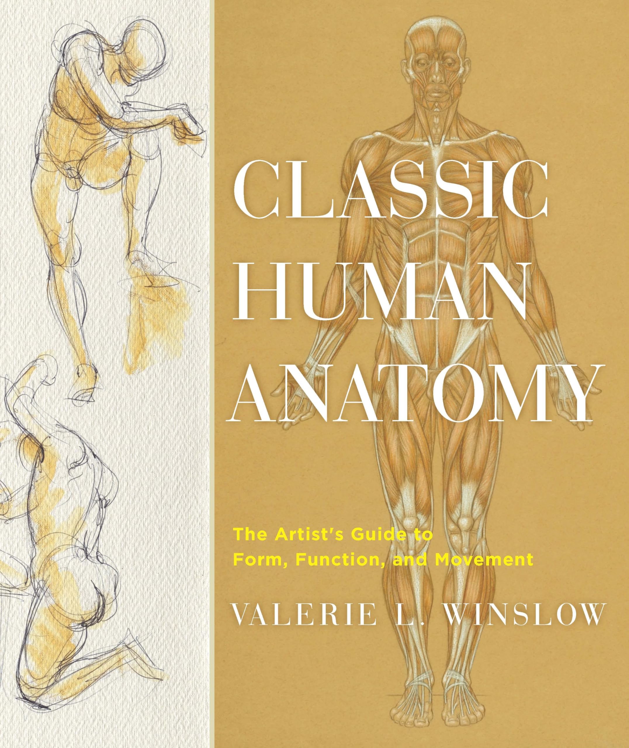 Classic Human Anatomy Arts & Music