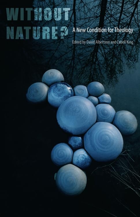 Words of Life: New Theological Turns in French Phenomenology: A New Condition for Theology Social Sciences