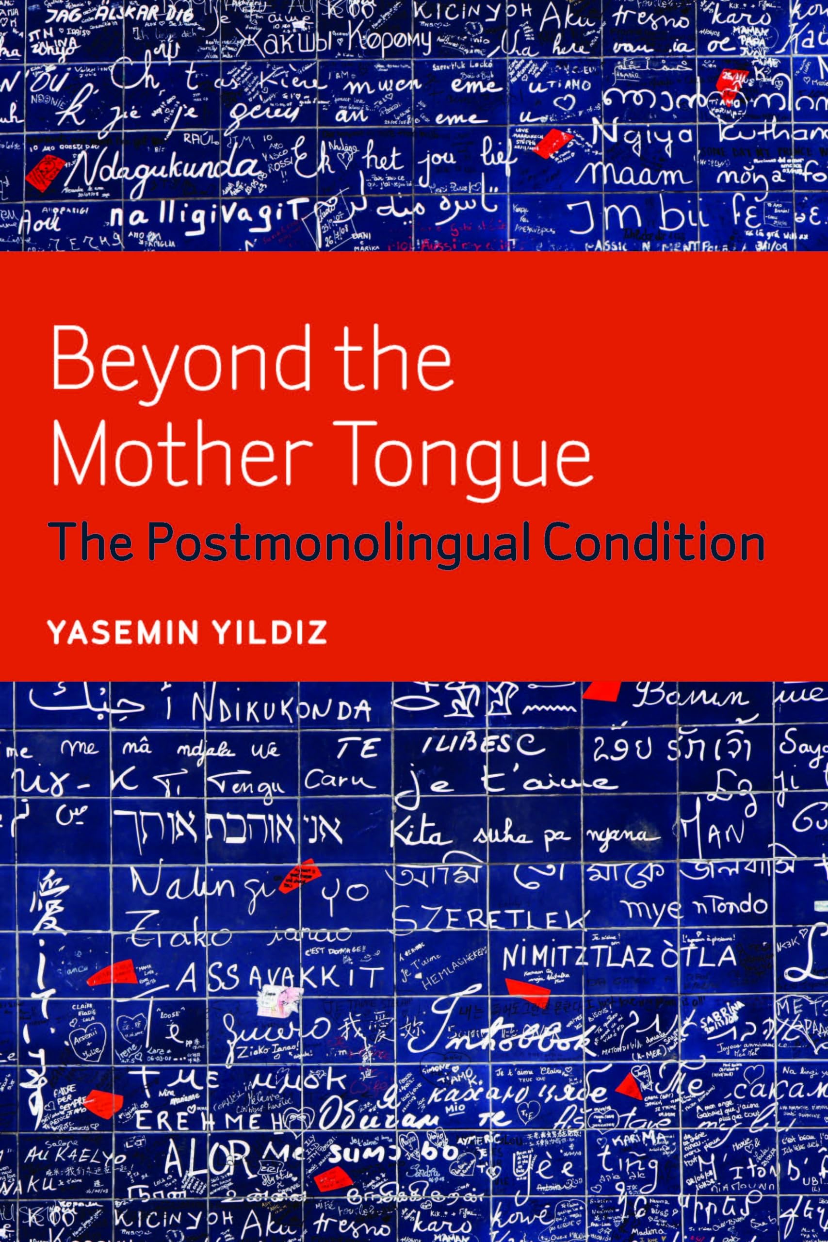 Beyond the Mother Tongue: The Postmonolingual Condition Social Sciences