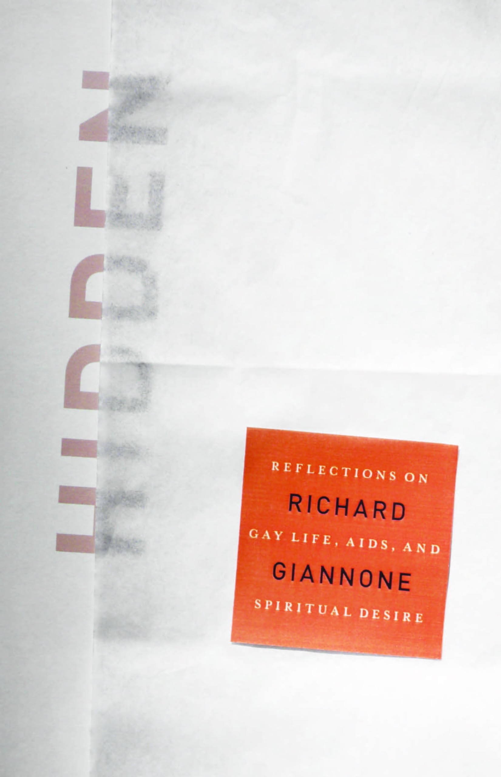 Hidden: Reflections on Gay Life, Aids, and Spiritual Desire Social Sciences