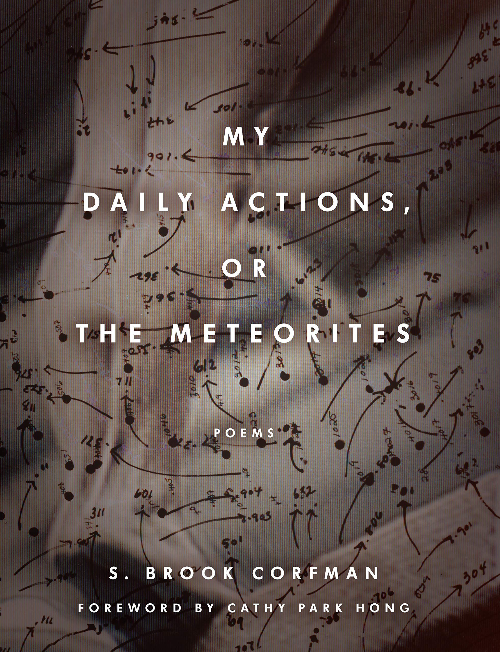 My Daily Actions, or the Meteorites: Poems book