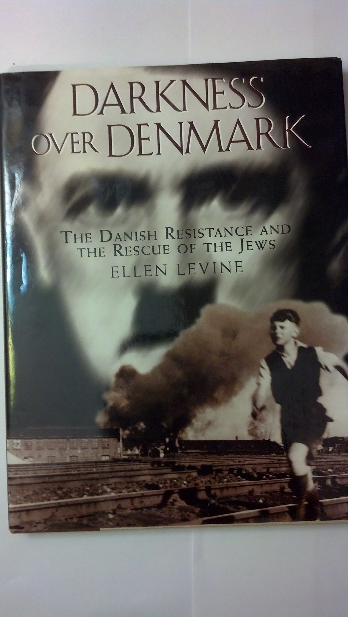 Darkness over Denmark: The Danish Resistance and the Rescue of the Jews German history
