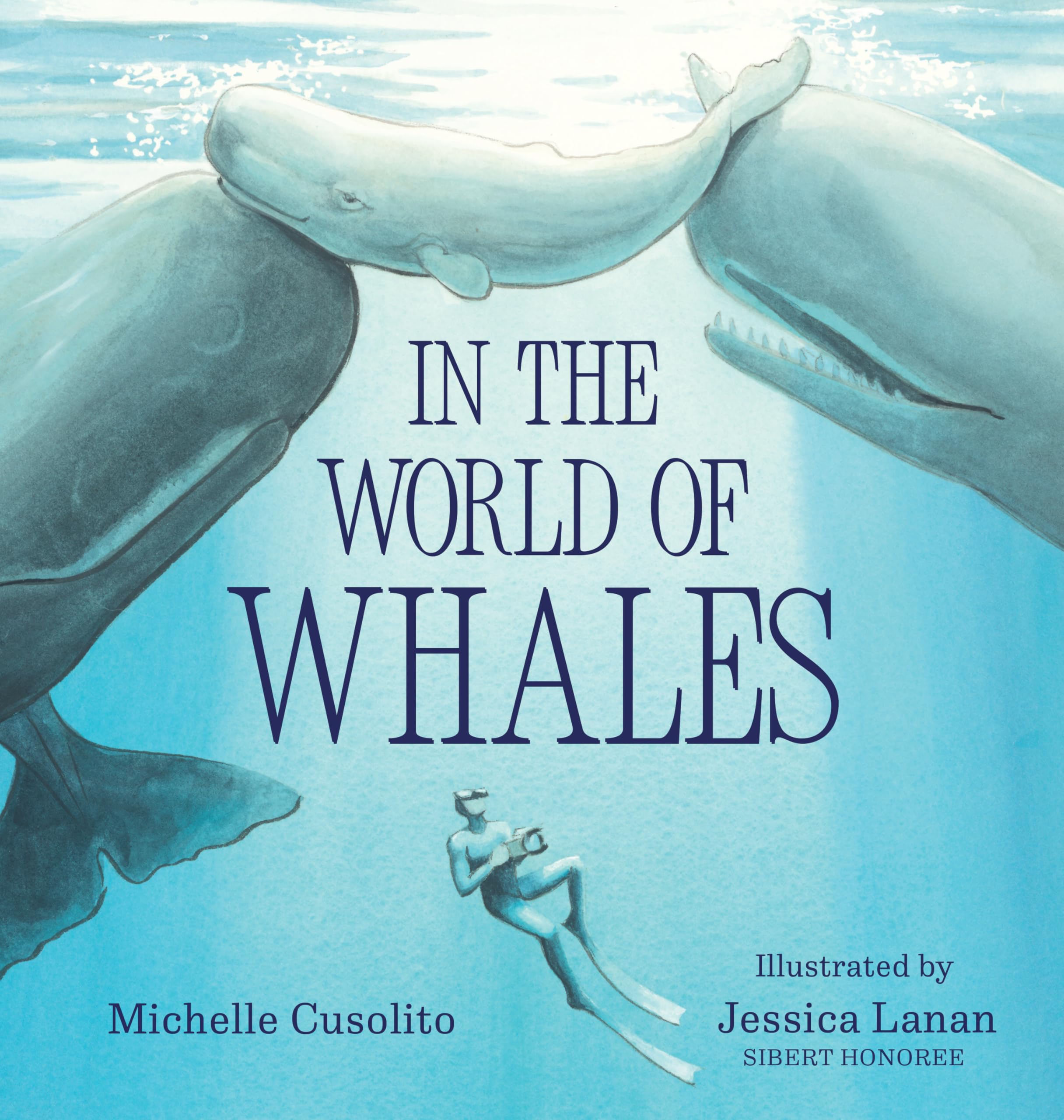 In the World of Whales Leisure & Fun