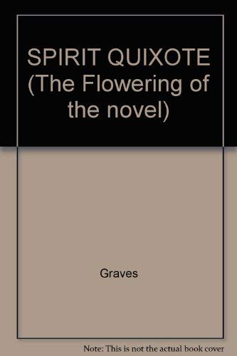Spiritual Quixote: or The Summer's Ramble of Mr. G Books