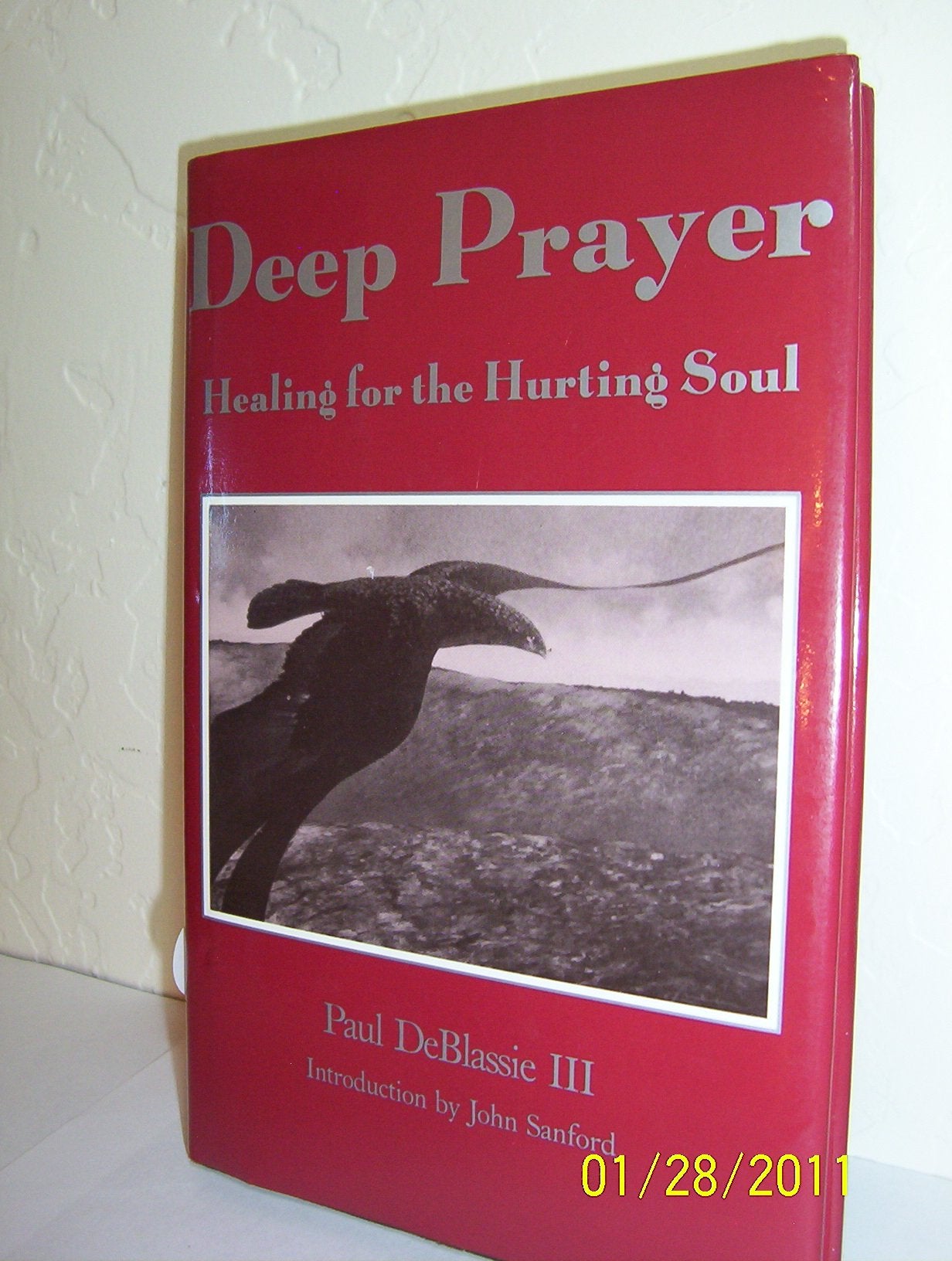 Deep Prayer: Healing for the Hurting Soul Religion & Esotericism