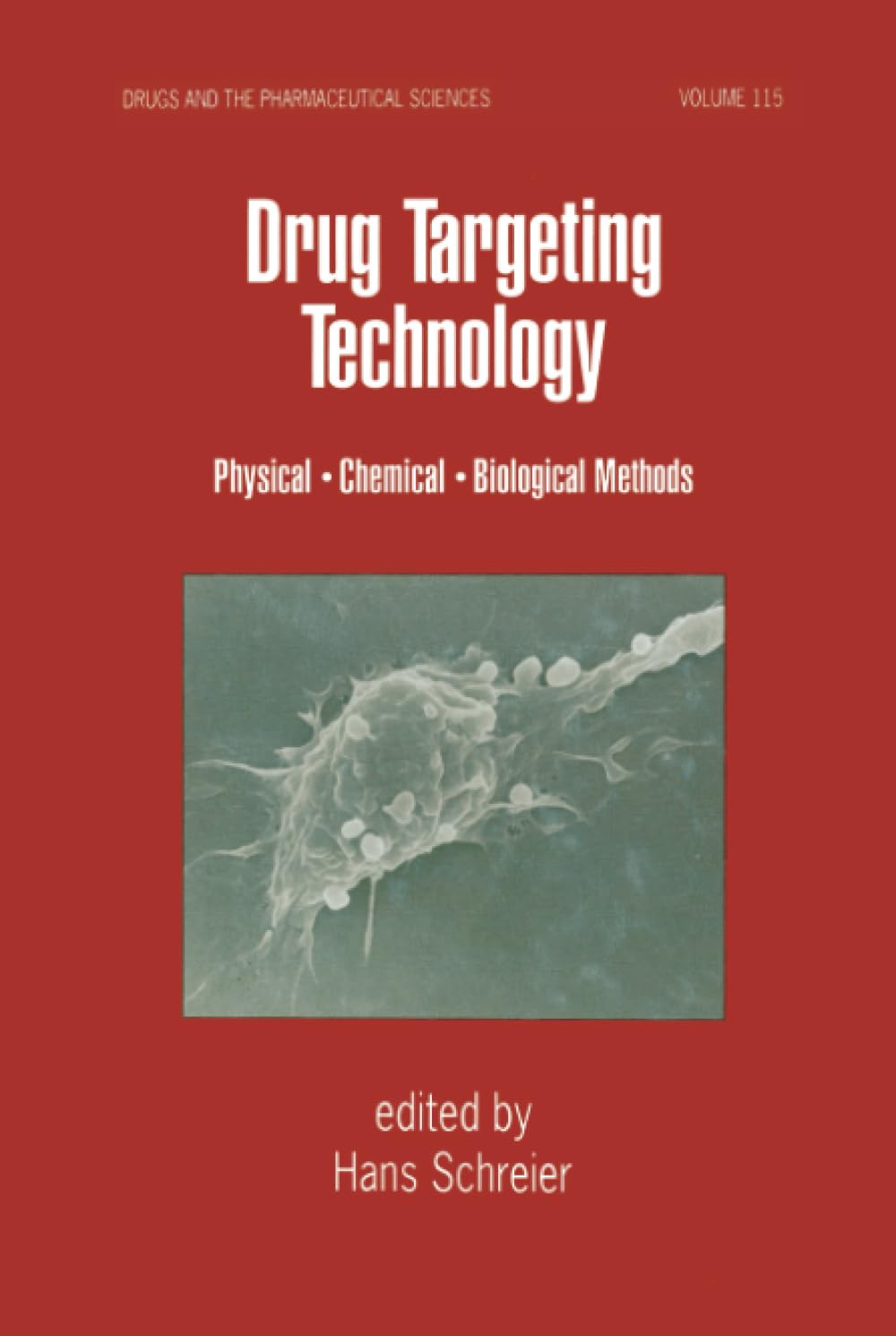 Drug Targeting Technology: Physical Chemical Biological Methods (Drugs and the Pharmaceutical Sciences, 115, Band 115) Medicine