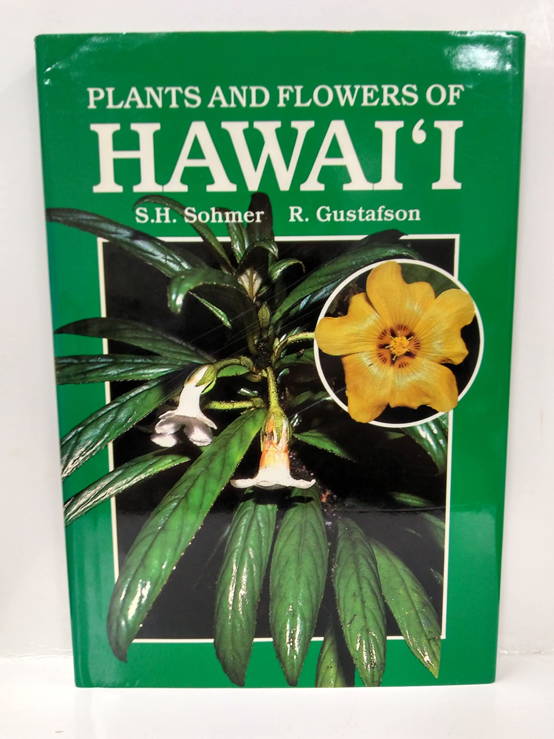 Plants and Flowers of Hawaii Mathematics