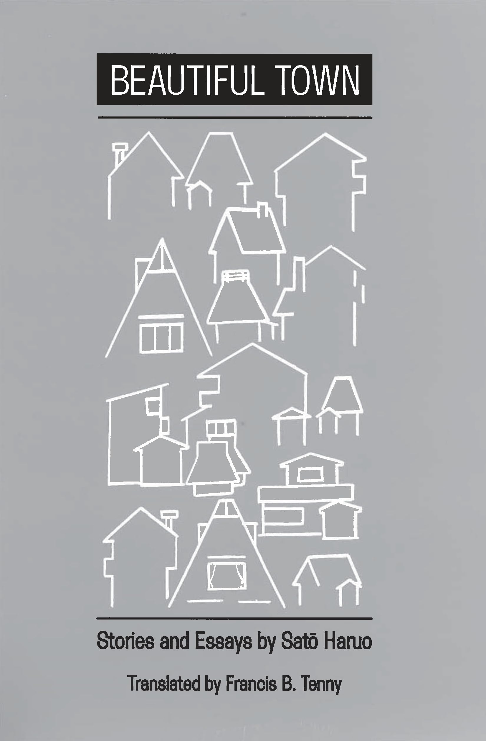 Beautiful Town: Stories and Essays Contemporary literature
