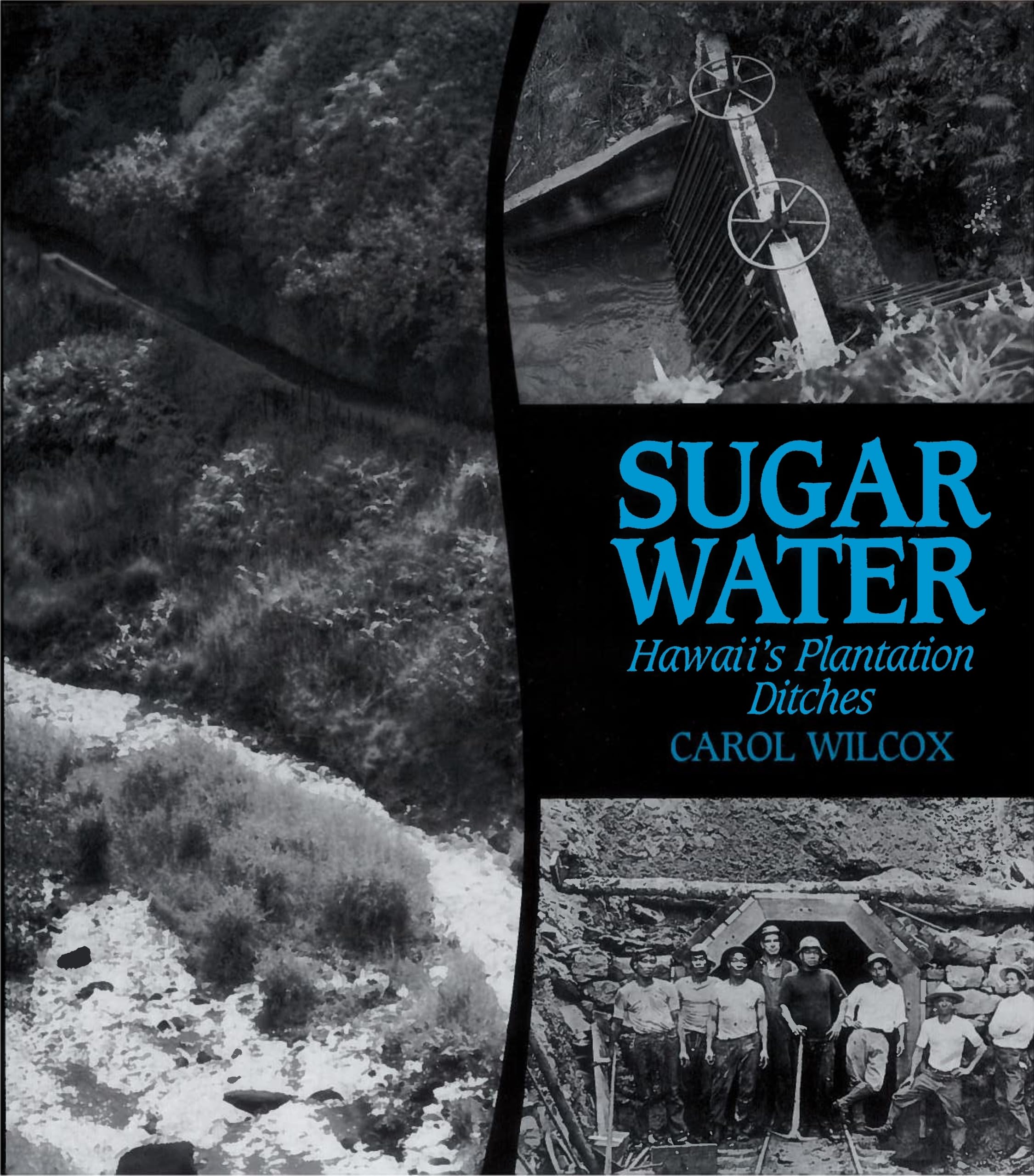 Sugar Water: Hawaii's Plantation Ditches Business, Finance & Career