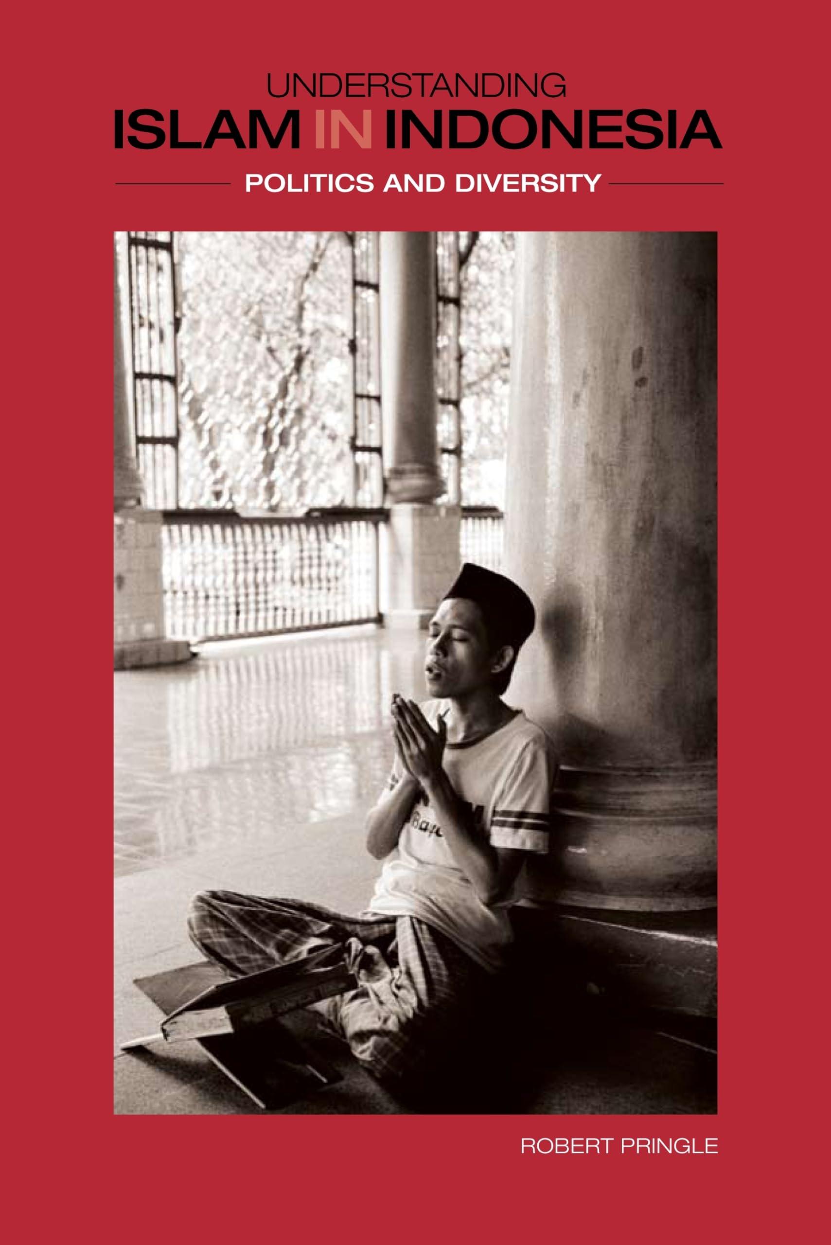 Understanding Islam in Indonesia: Politics and Diversity Social Sciences