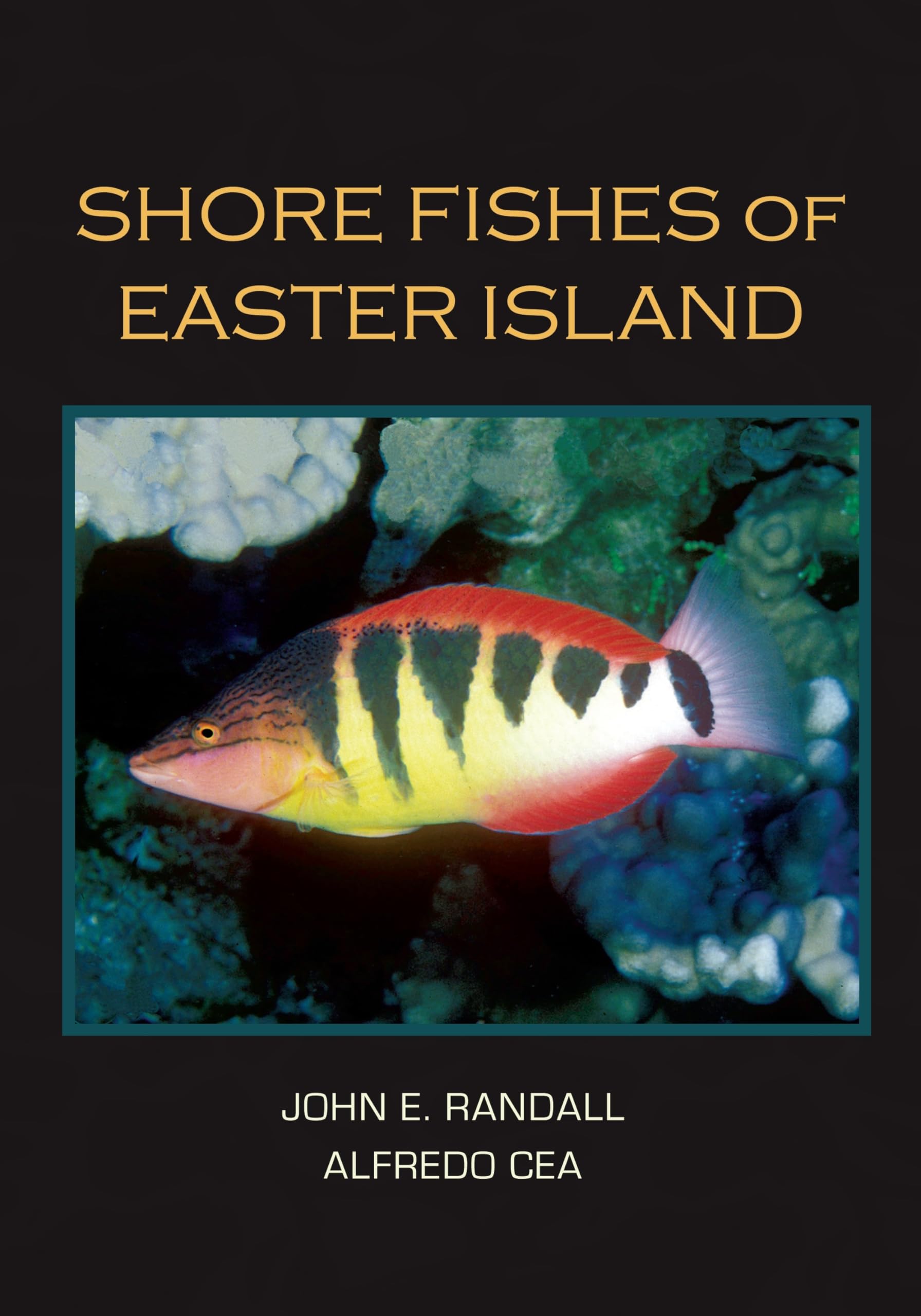 Shore Fishes of Easter Island Mathematics