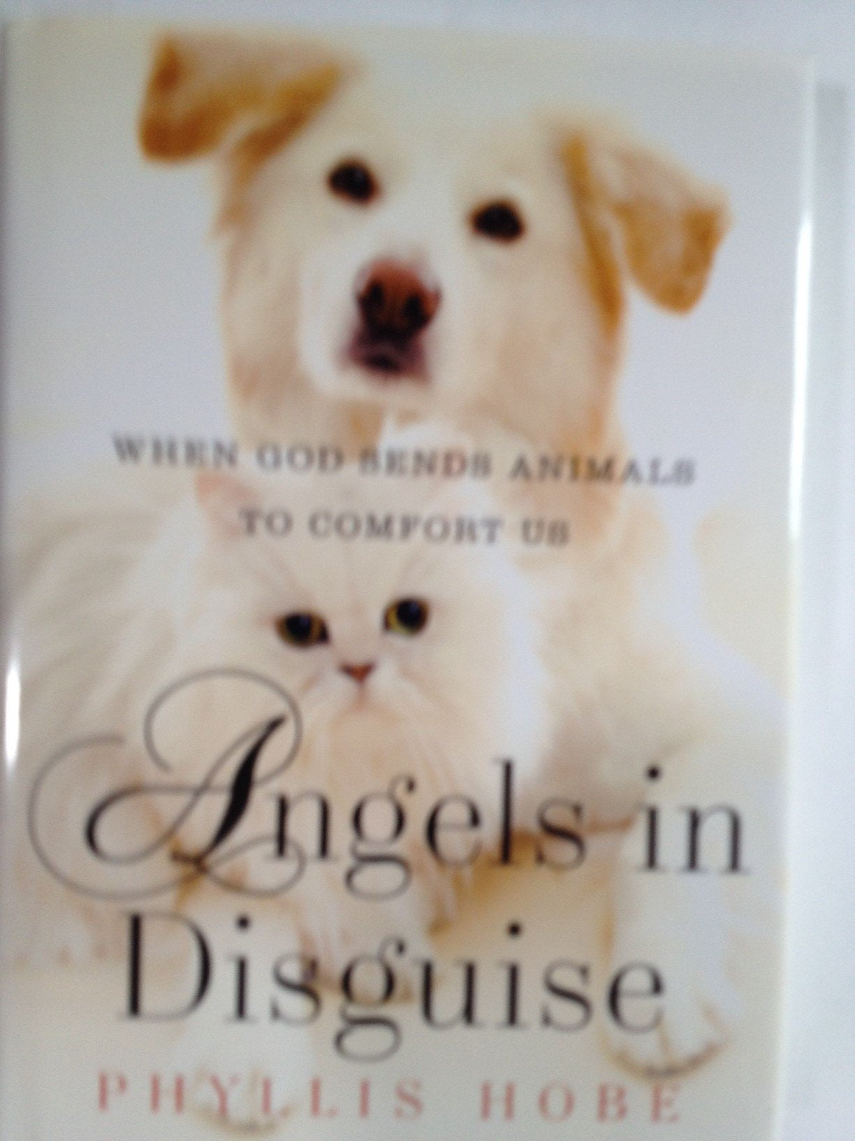 Angels in Disguise: When God Sends Animals to Comfort Us book