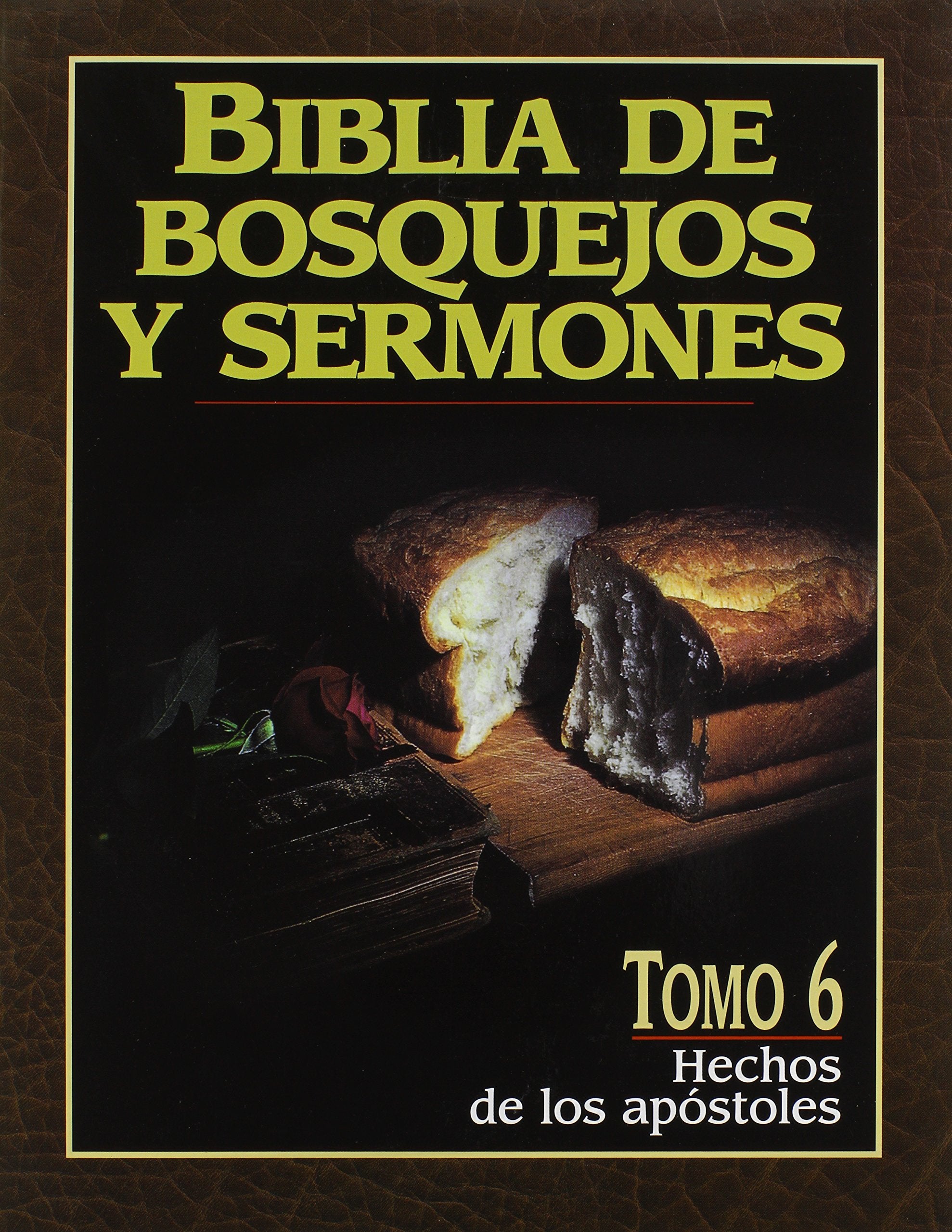 Biblia de Bosquejos Y Sermones: Hechos = Acts (Biblia de Bosquejos y Sermones N.T., Band 6) Social Sciences