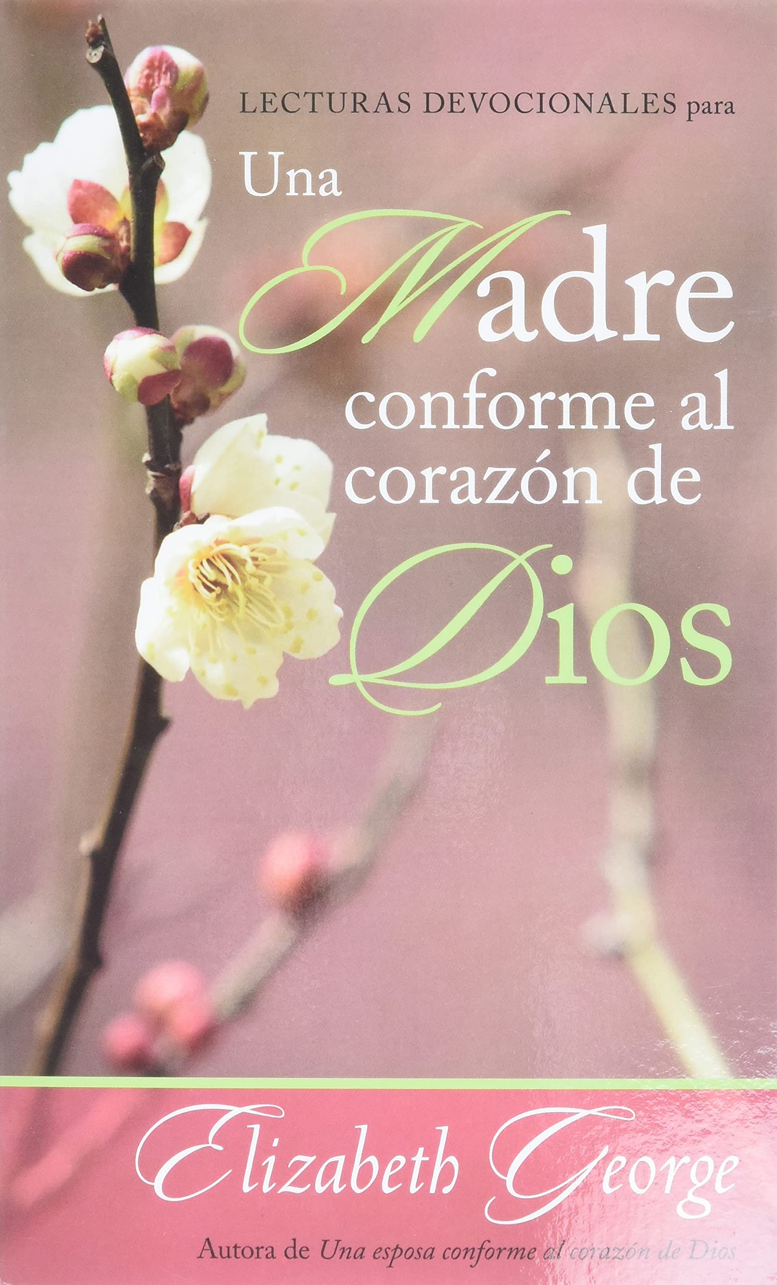 Lecturas Devocionales Para Una Madre Conforme Al Corazón de Dios = A Mom After God's Own Heart Devotional Social Sciences