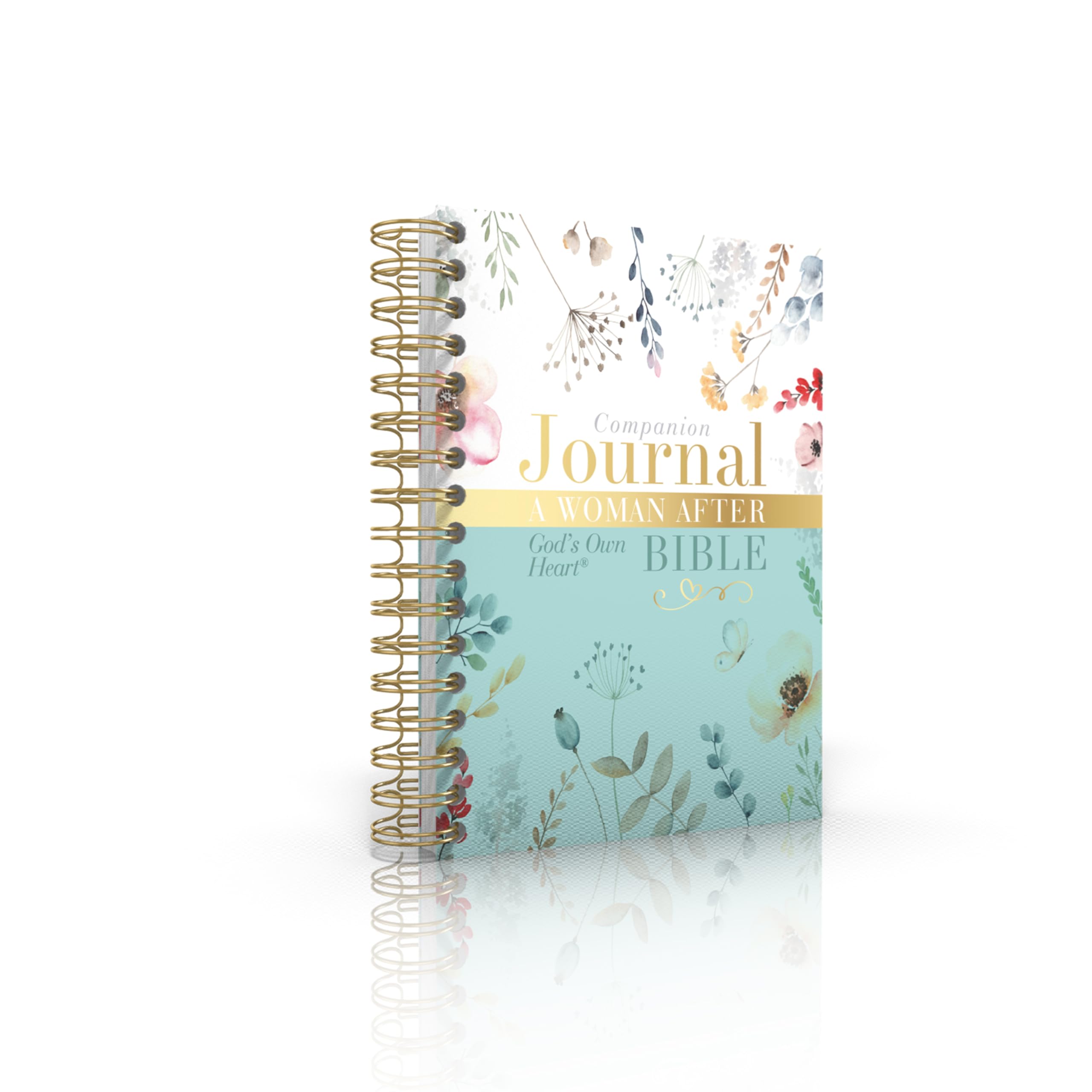 A Woman After God's Own Heart Bible Companion Journal Religion & Esotericism