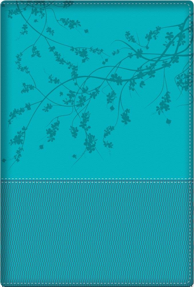 Biblia de la Mujer Conforme Al Corazón de Dios: Duotono Aqua Film, Art & Culture
