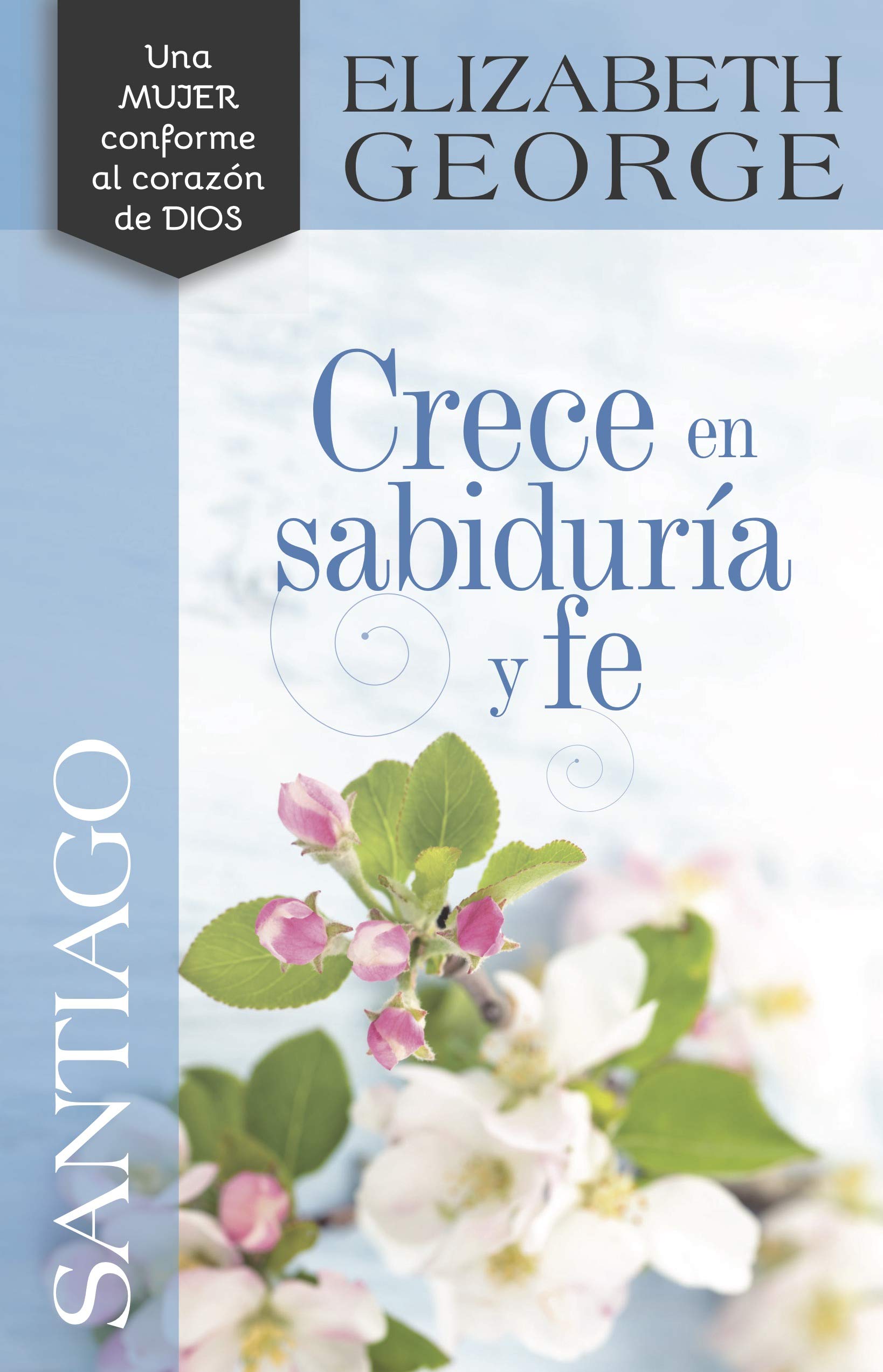 Santiago Crece En Sabiduría Y Fe Social Sciences