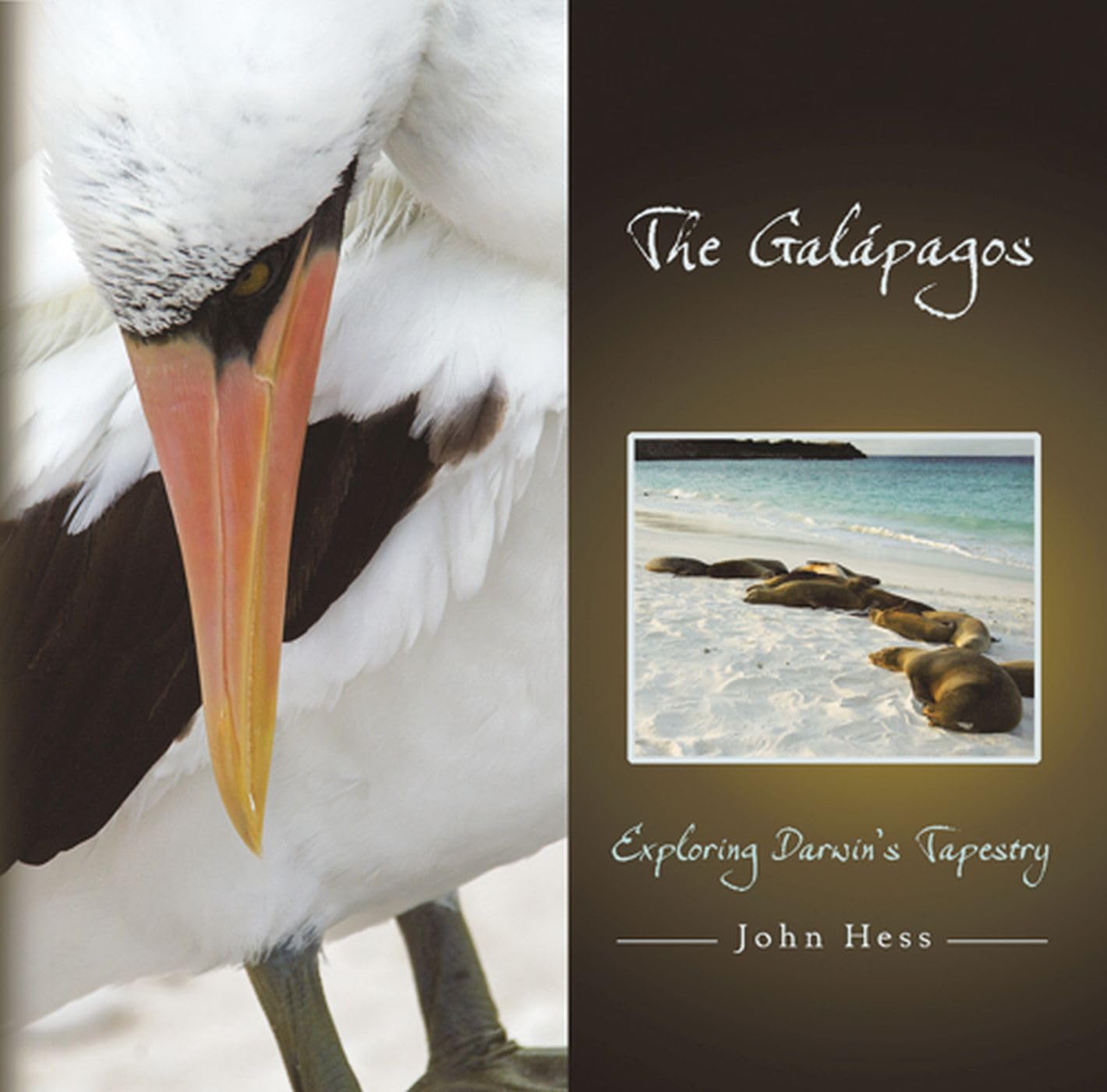 The Galápagos: Exploring Darwin's Tapestry Volume 1 Mathematics Books